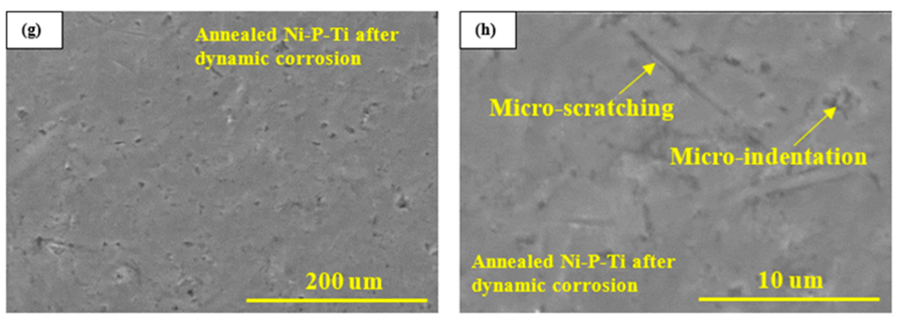 Solids 02 00018 g006b