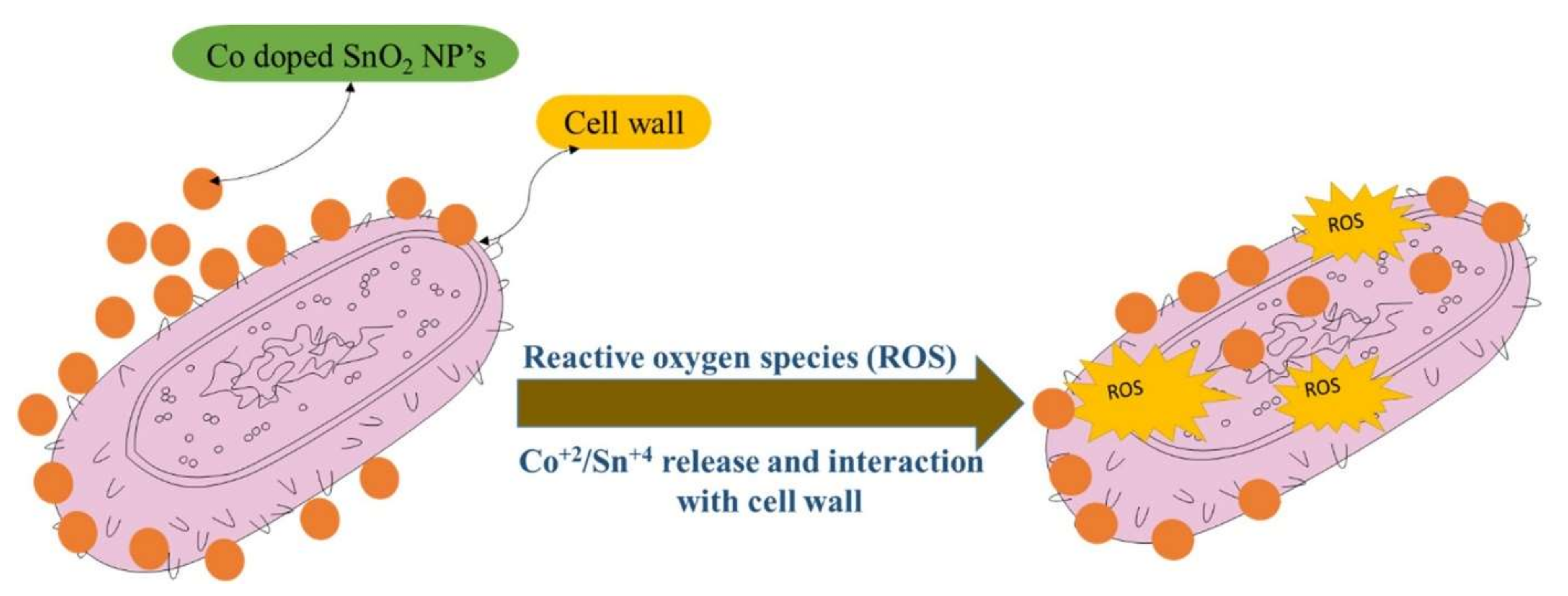 Solids 03 00024 g015 Solids 03 00024 g015