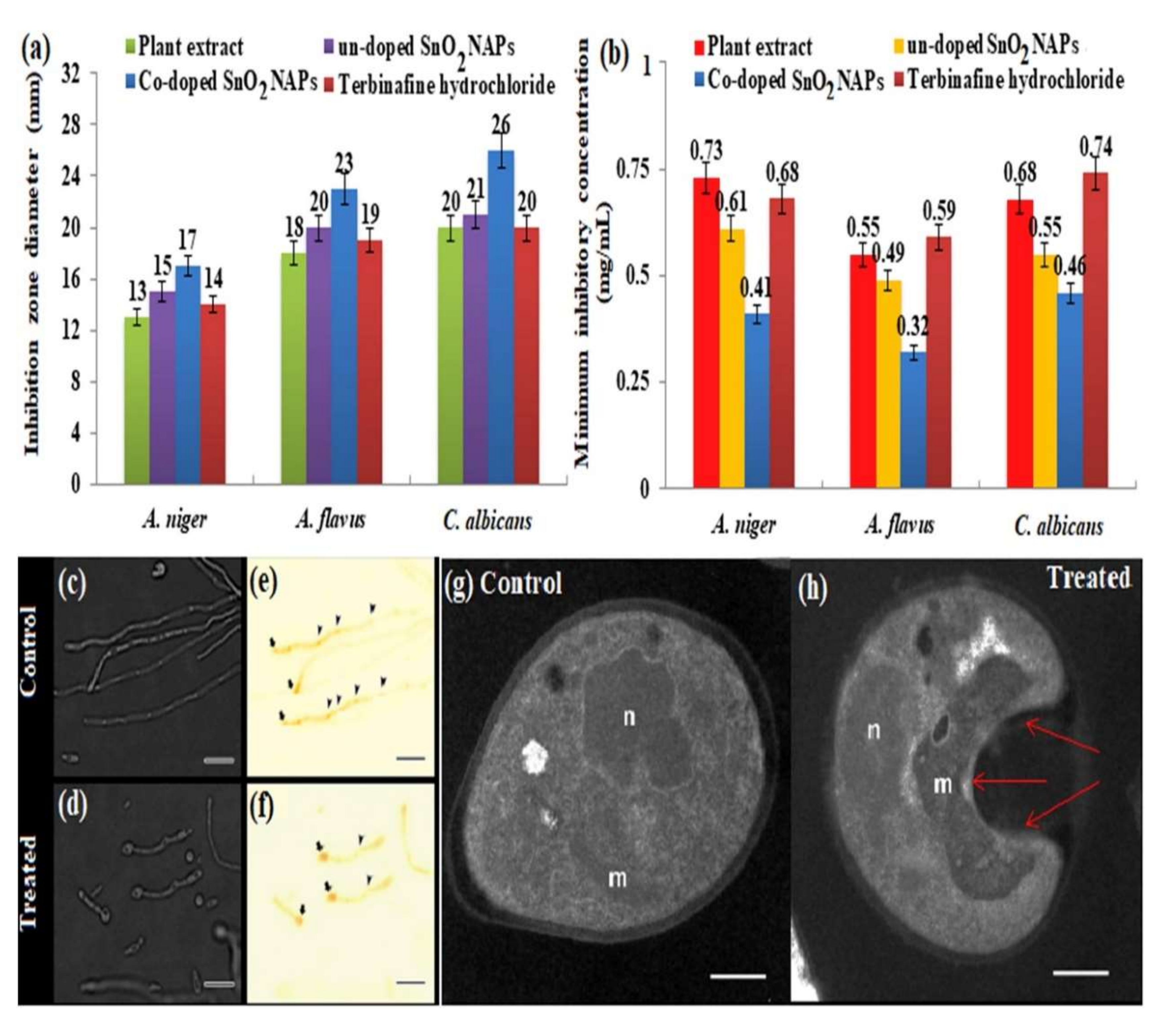 Solids 03 00024 g016 Solids 03 00024 g016