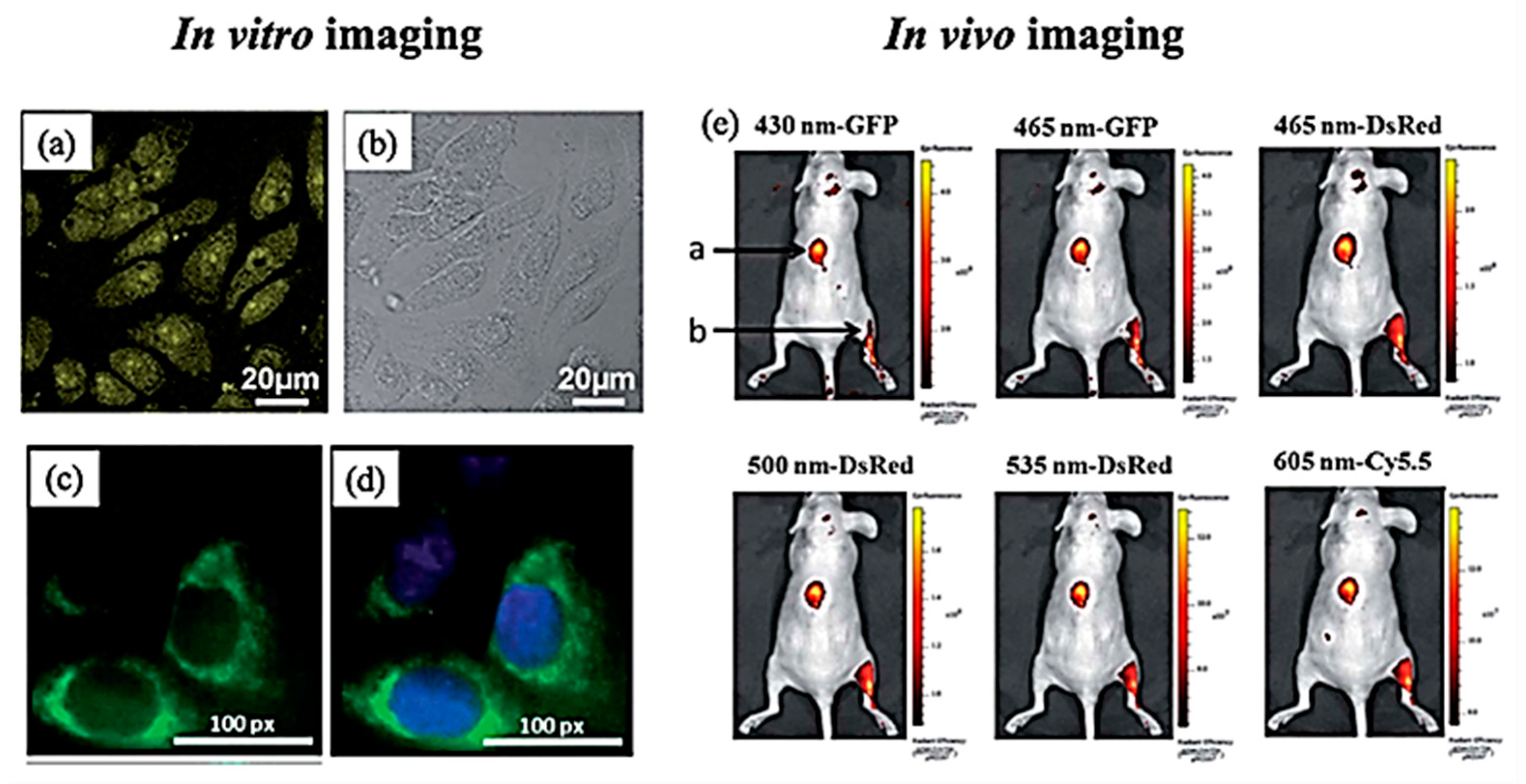 Solids 03 00037 g009 Solids 03 00037 g009