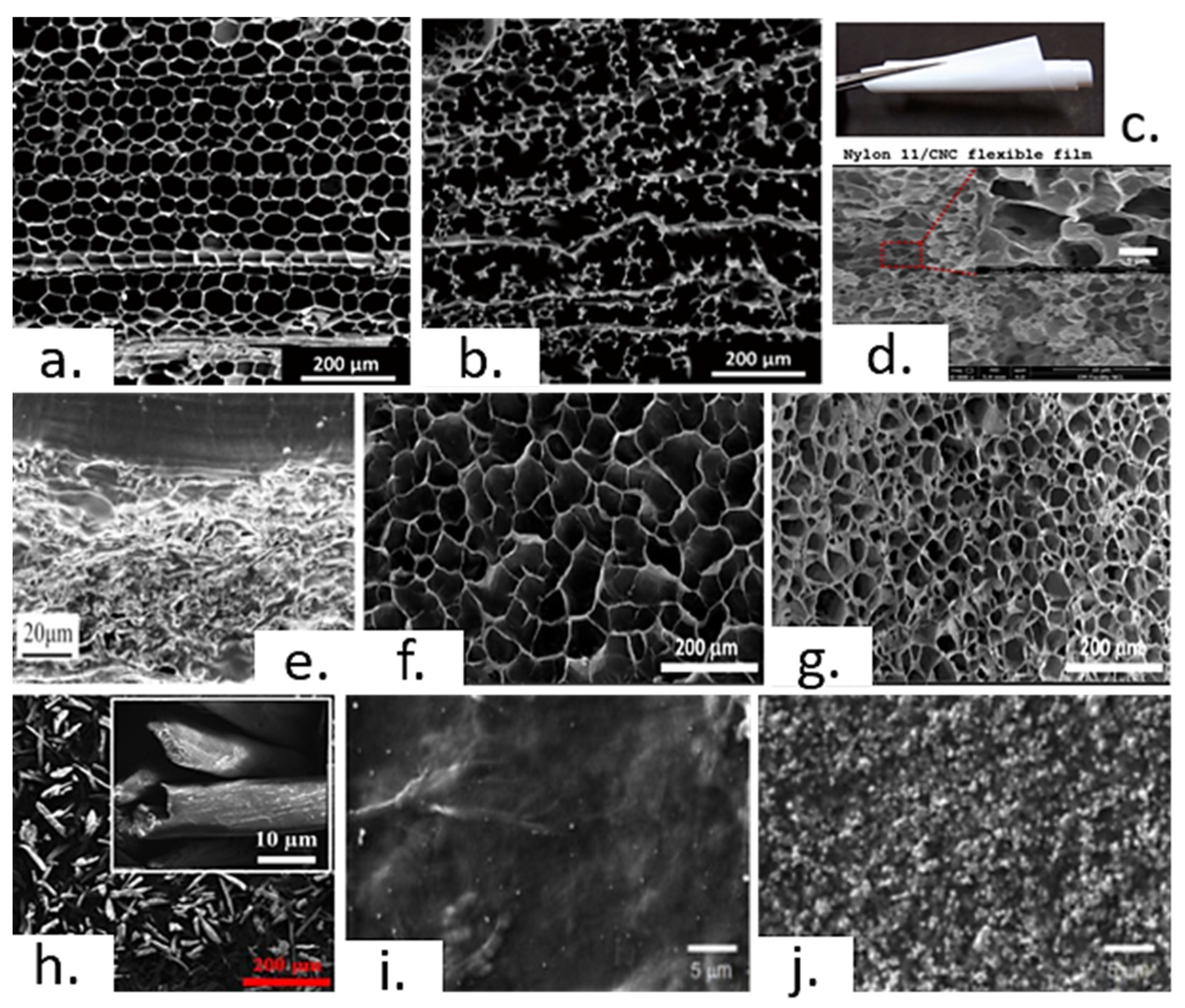 Solids 04 00009 g003 Solids 04 00009 g003