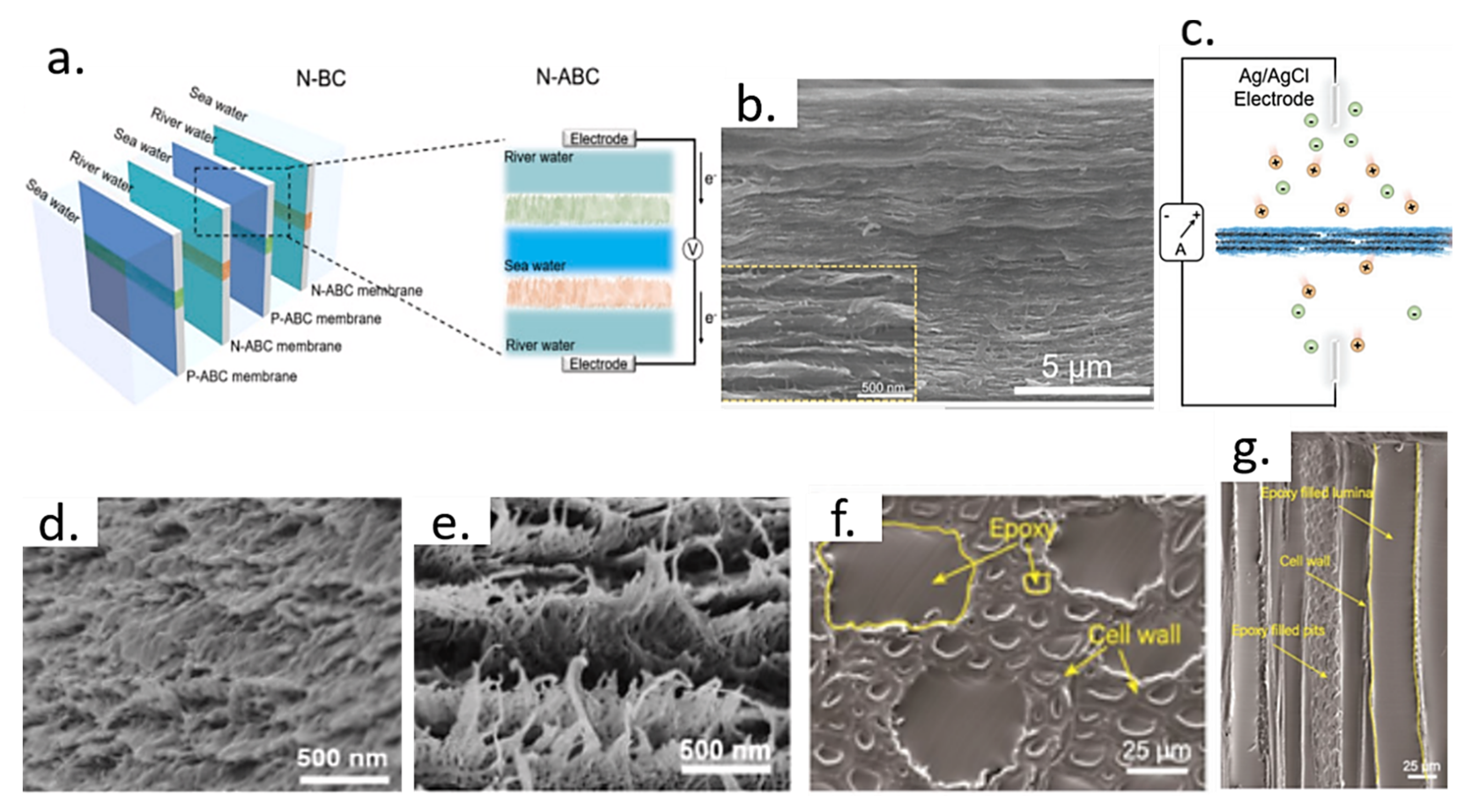 Solids 04 00009 g005 Solids 04 00009 g005