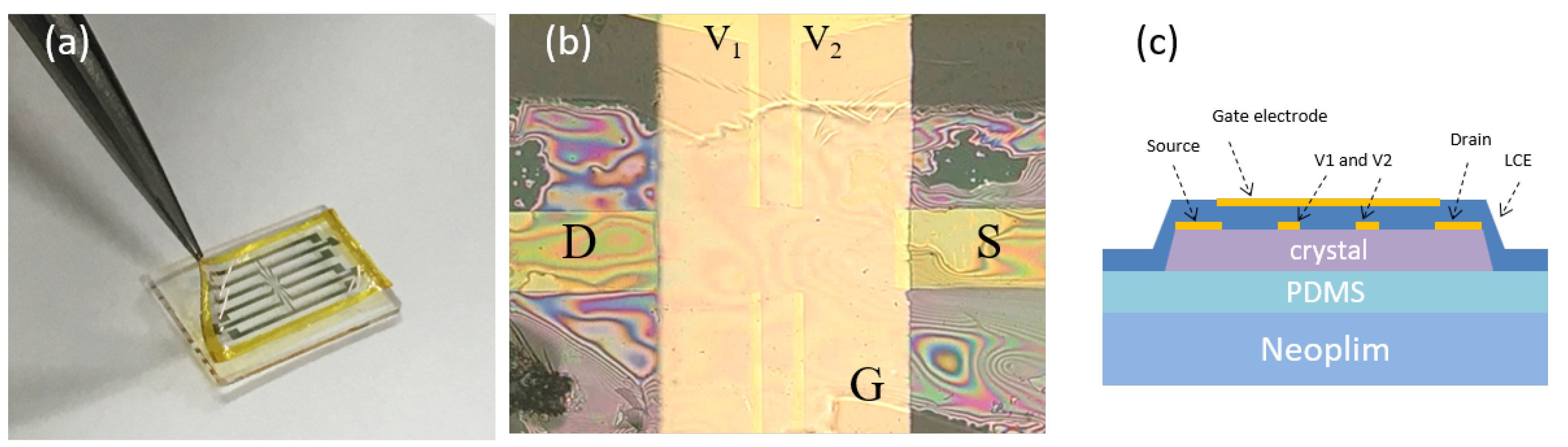Solids 04 00013 g001 Solids 04 00013 g001