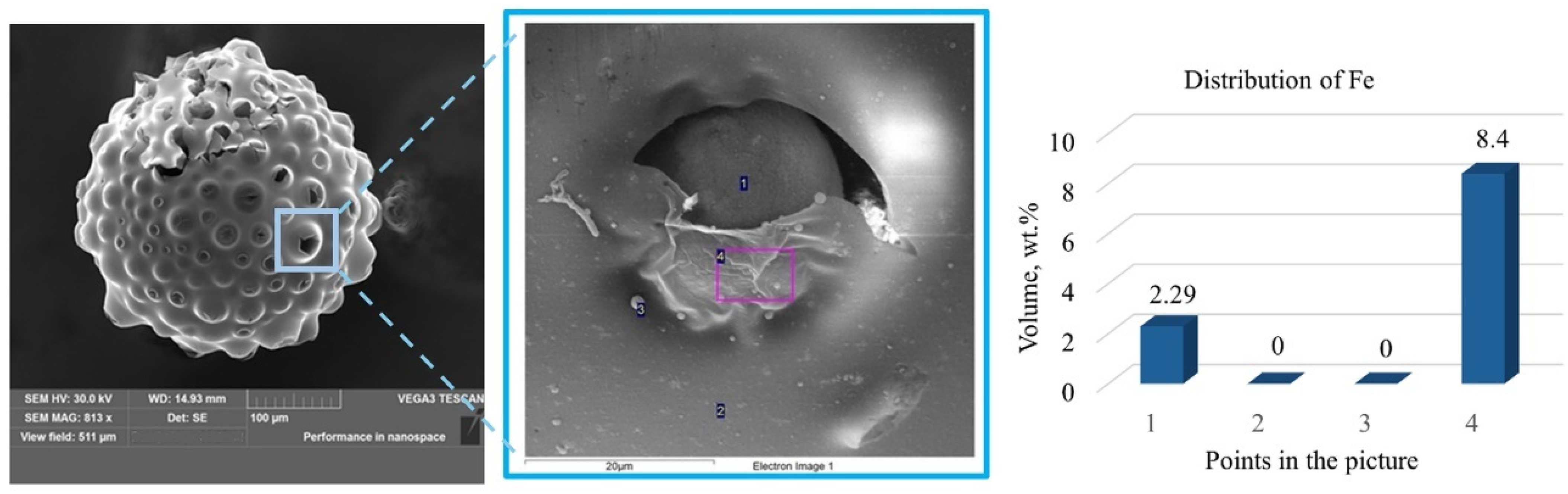 Solids 05 00011 g006