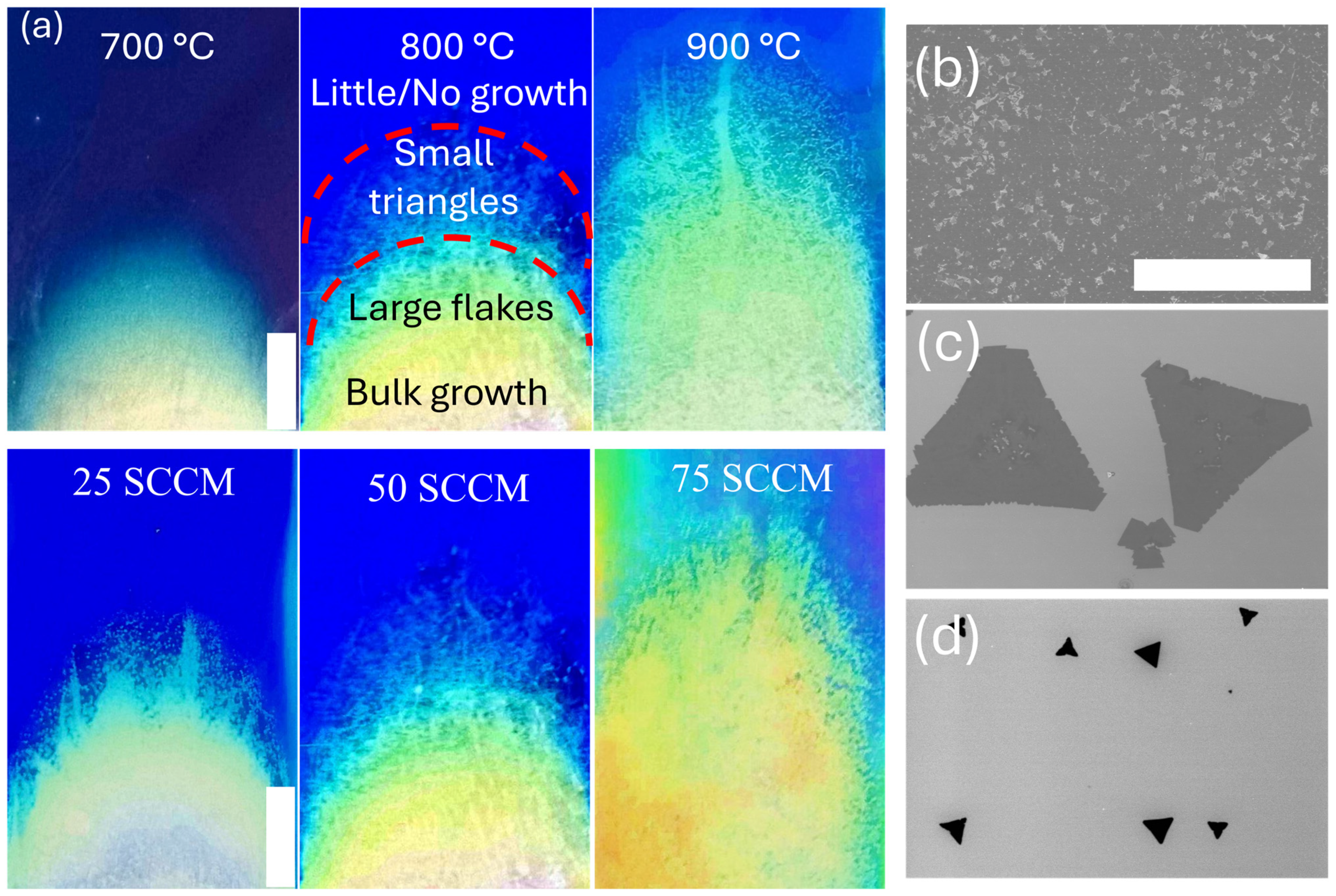 Solids 05 00034 g002
