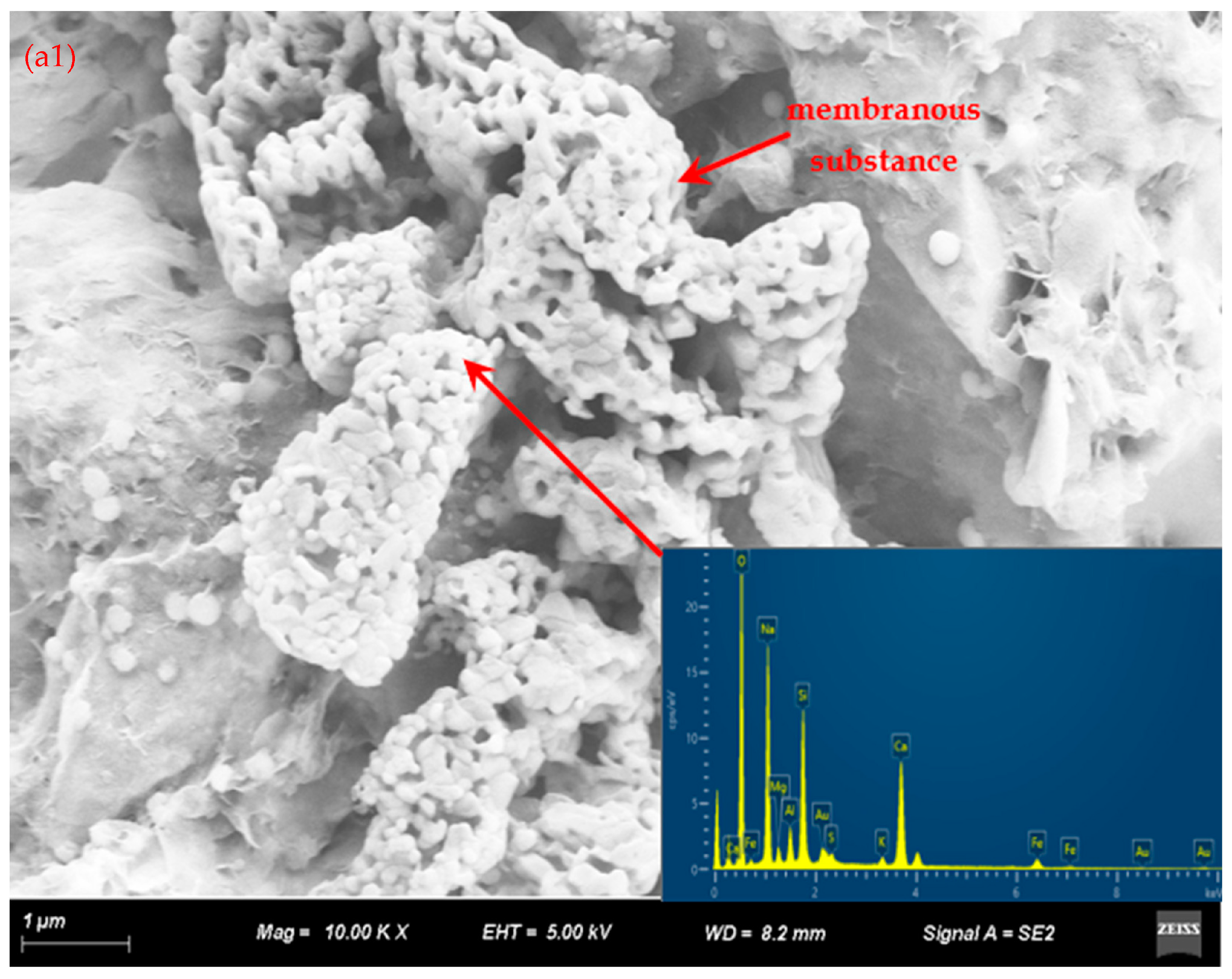 Solids 05 00037 g006a