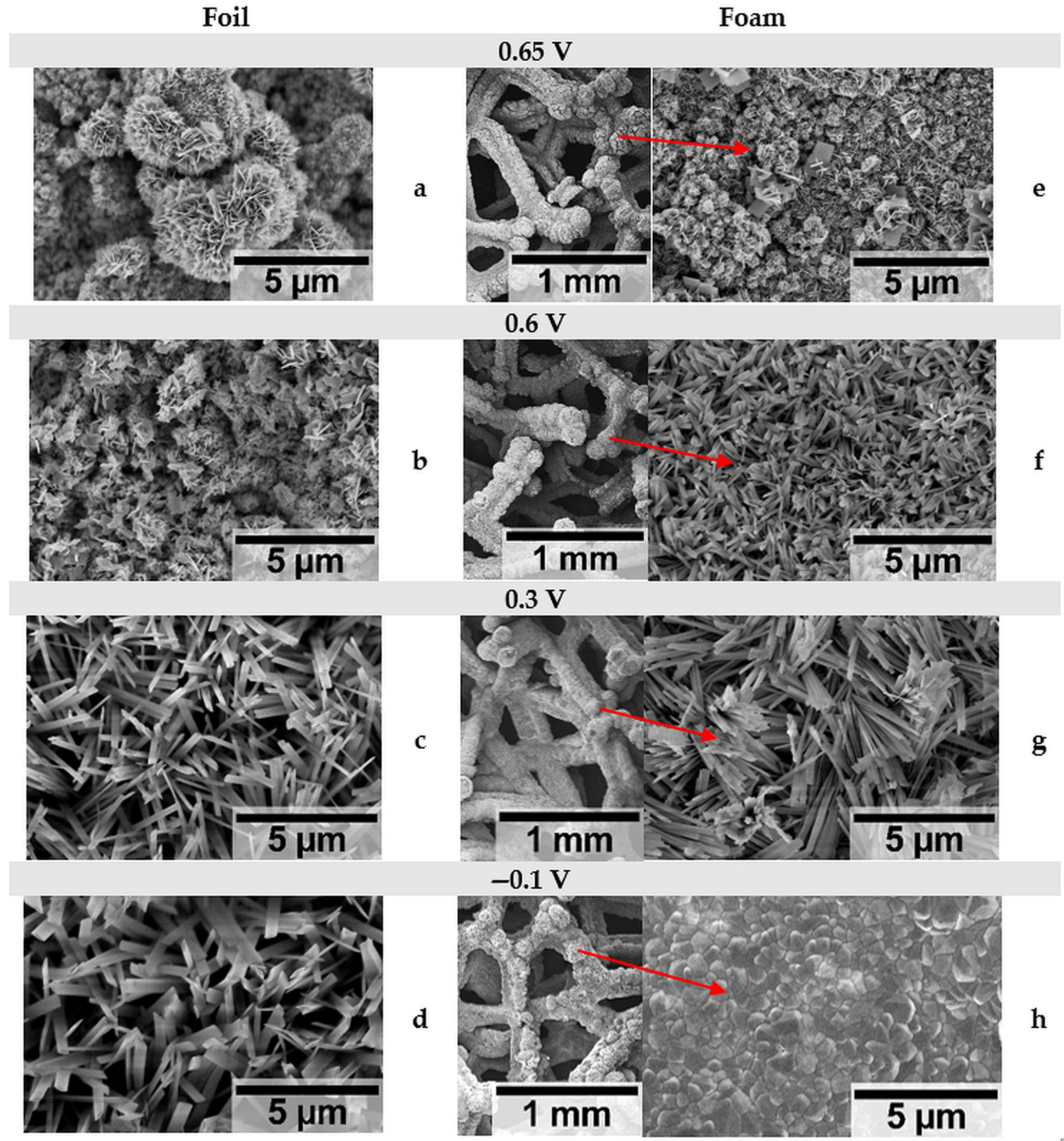 Solids 06 00015 g006