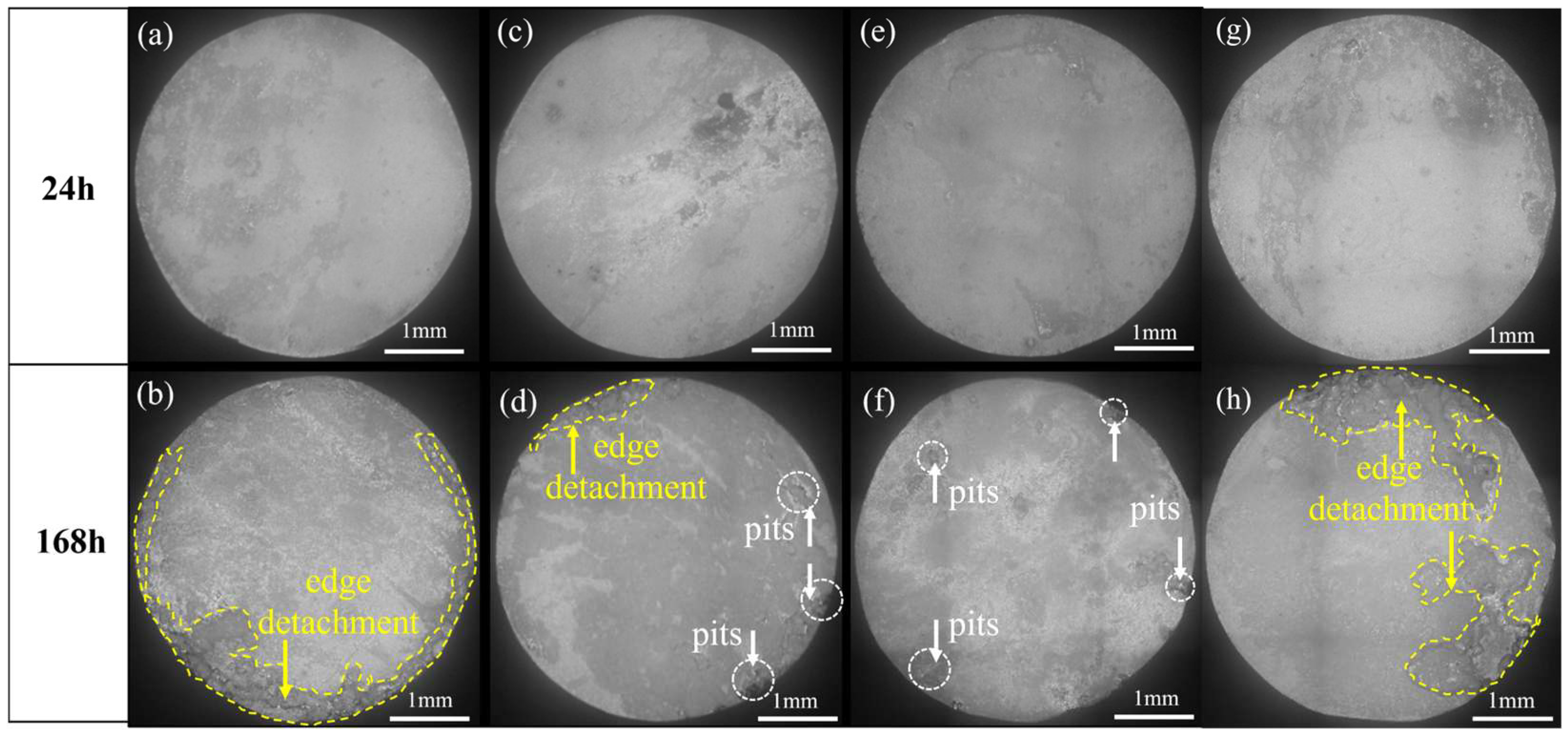 Solids 06 00017 g008
