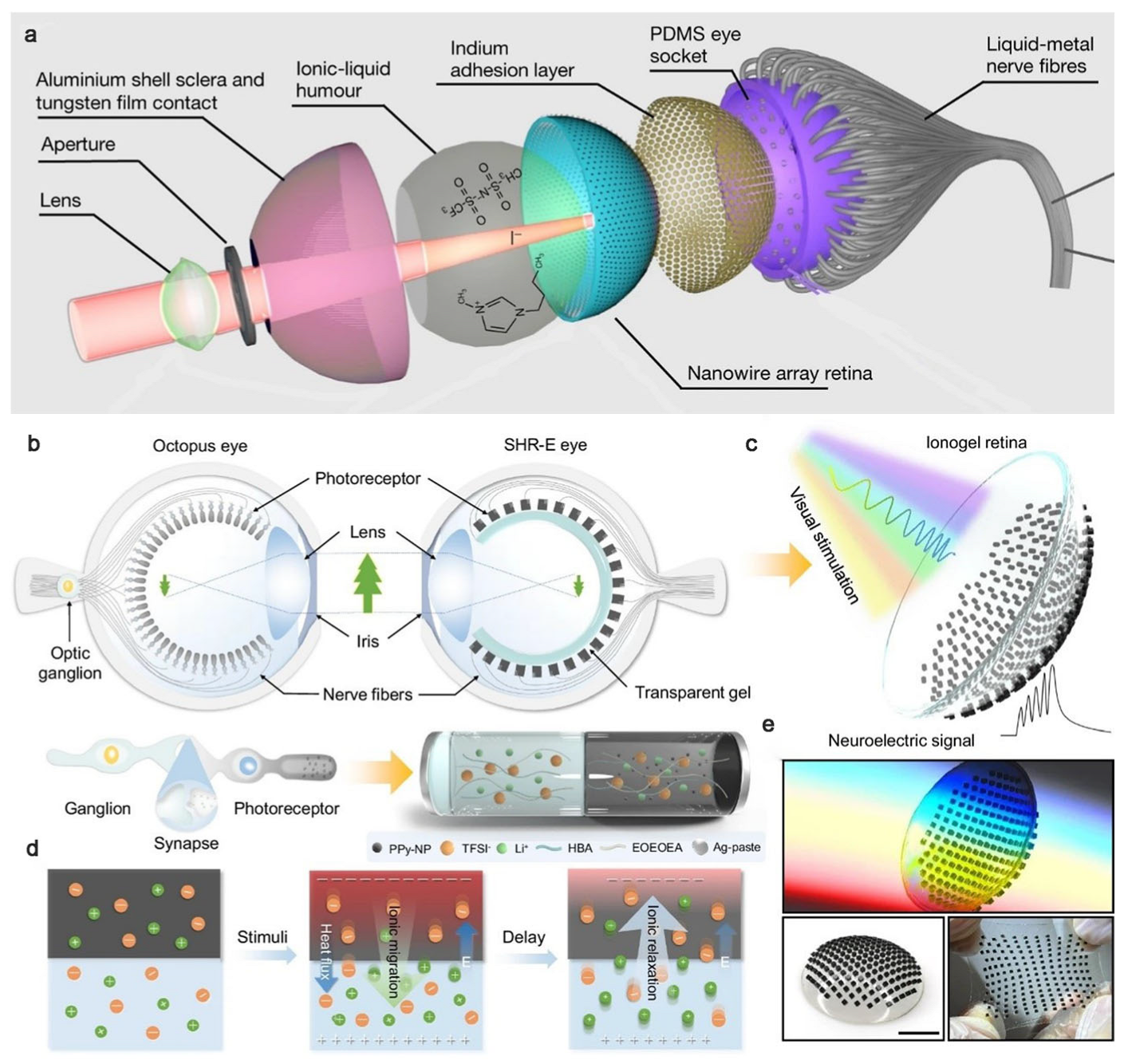Solids 06 00034 g005