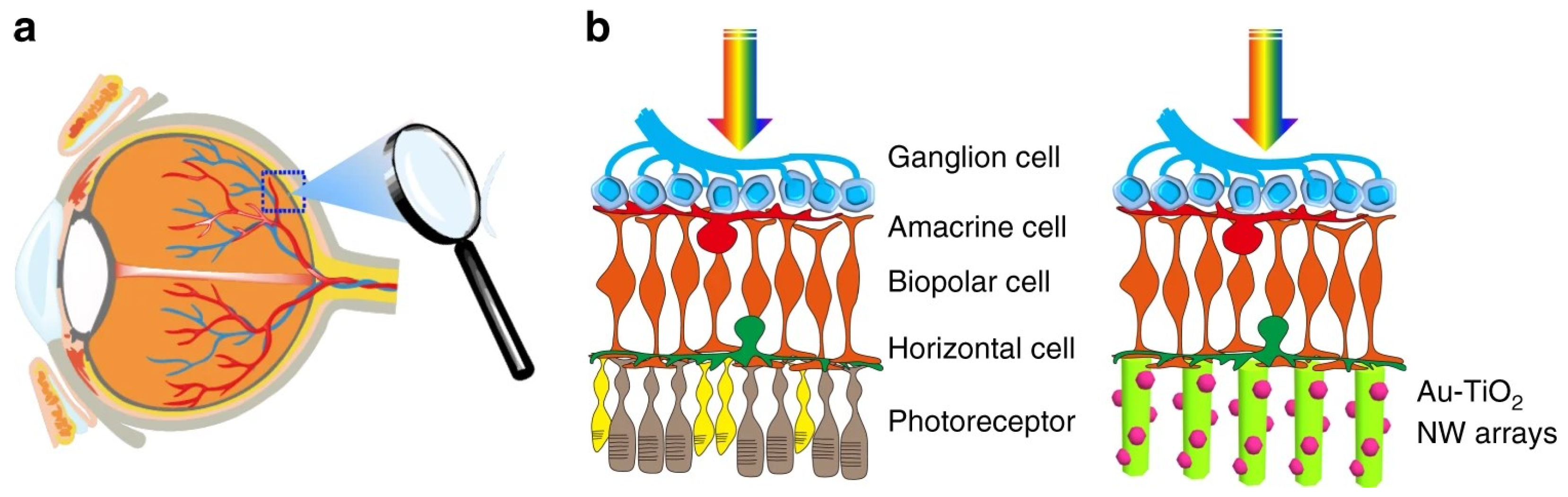 Solids 06 00034 g007