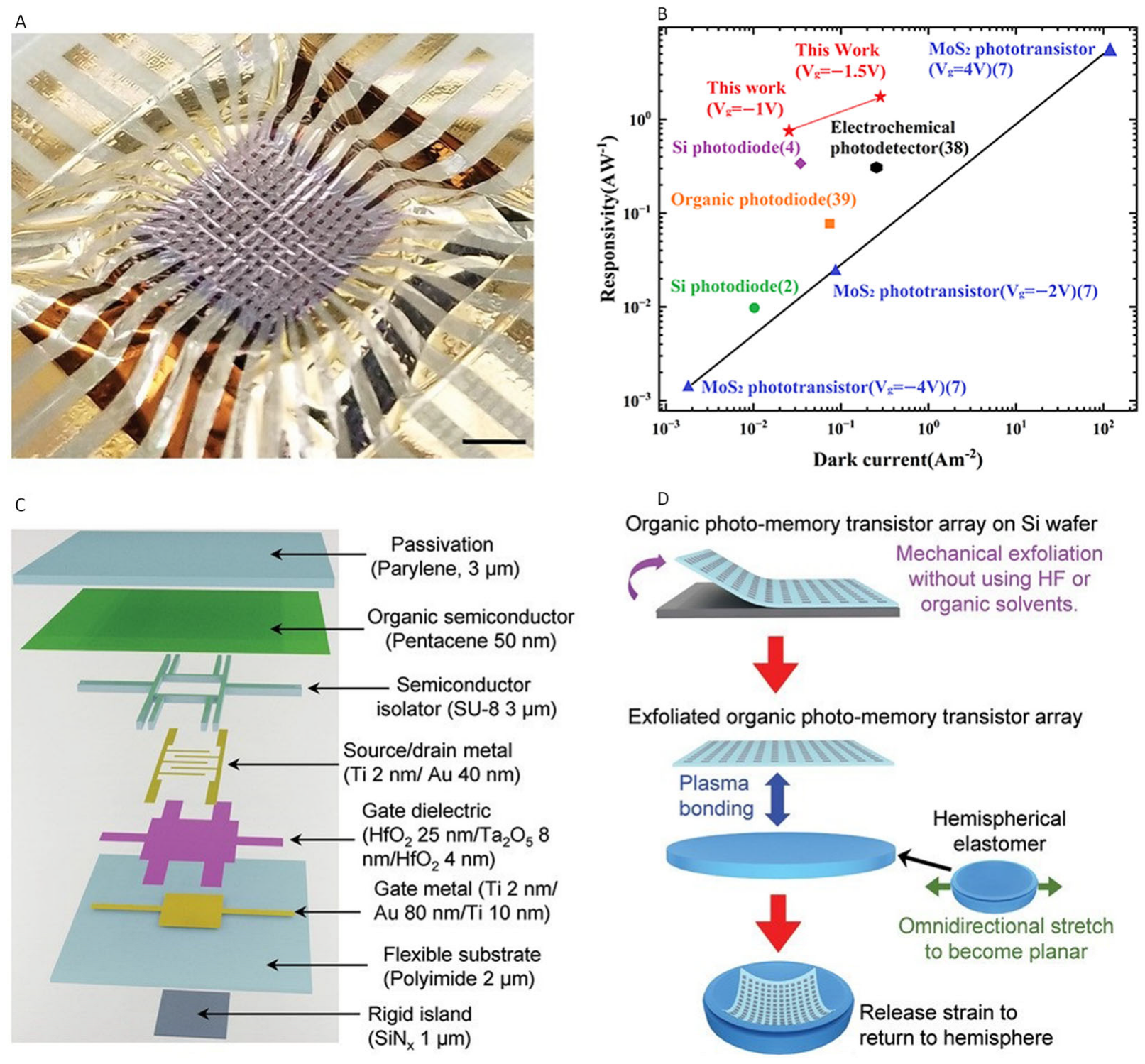 Solids 06 00034 g009