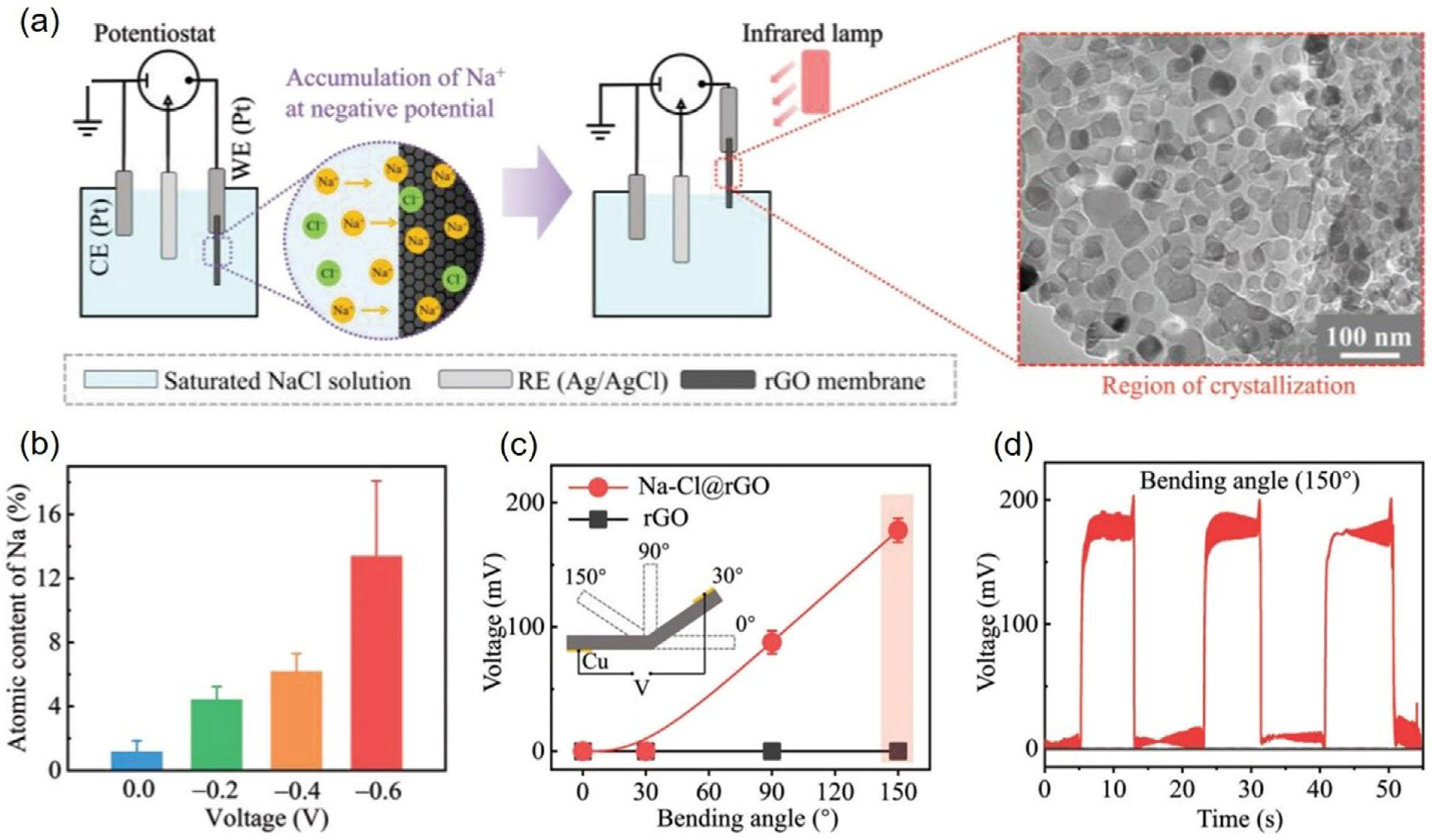 Solids 06 00038 g004