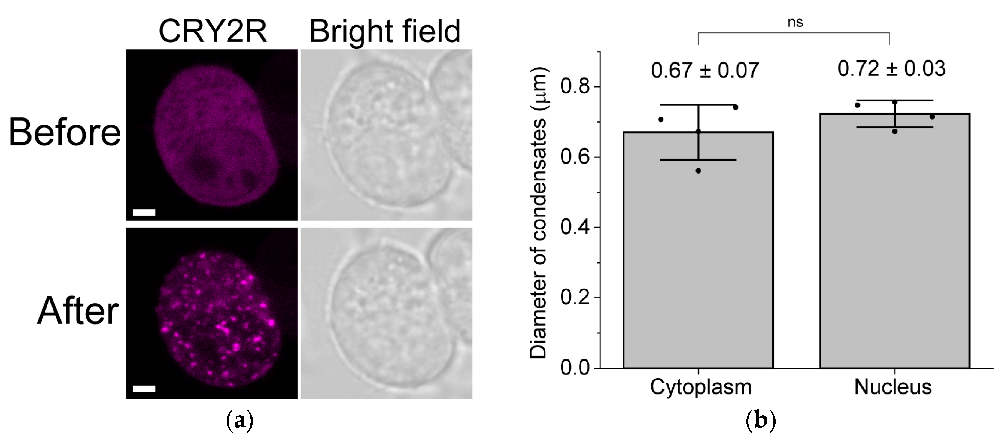 Spectroscj 01 00006 g001 Spectroscj 01 00006 g001