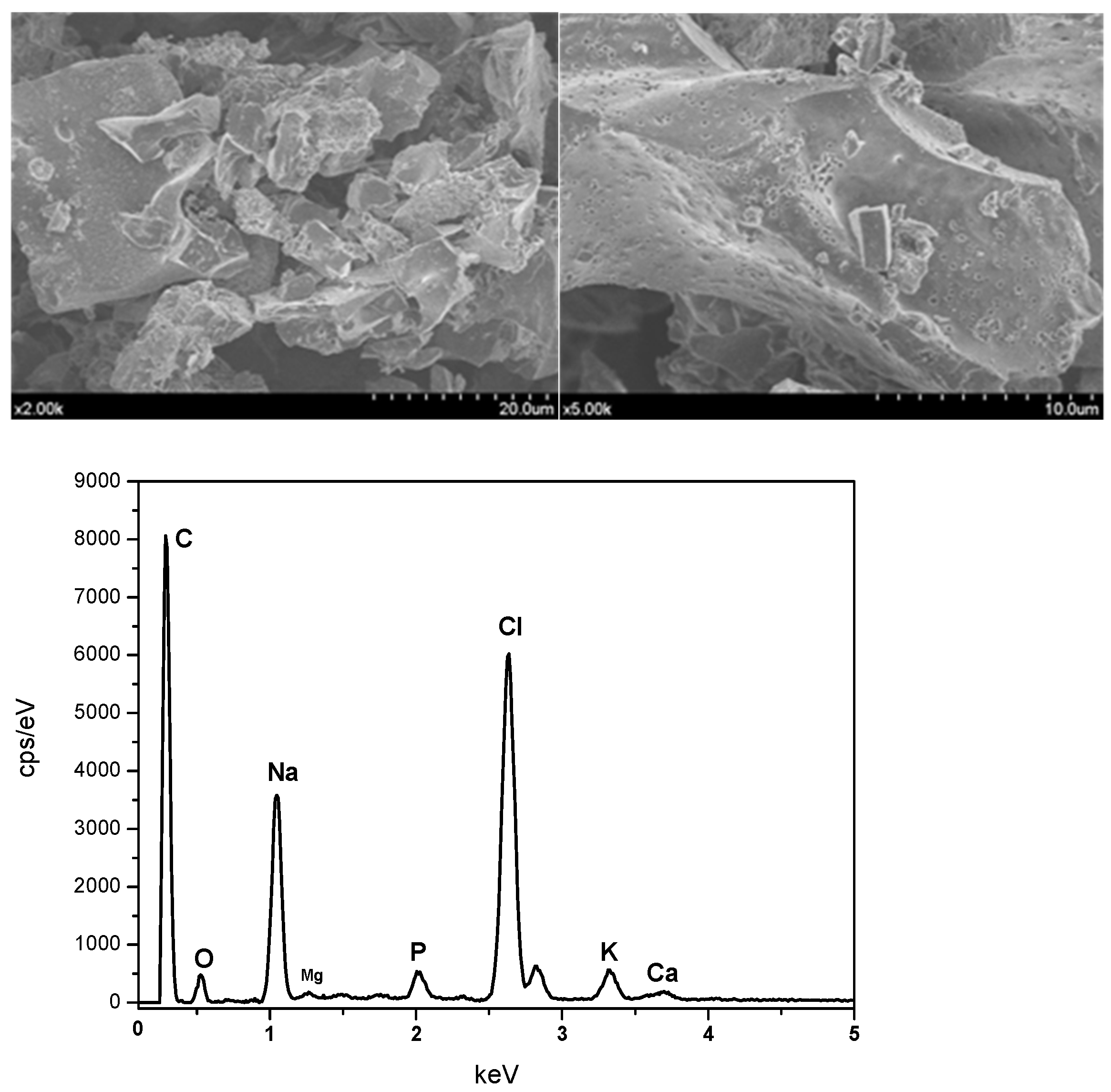 Spectroscj 01 00009 g004 Spectroscj 01 00009 g004