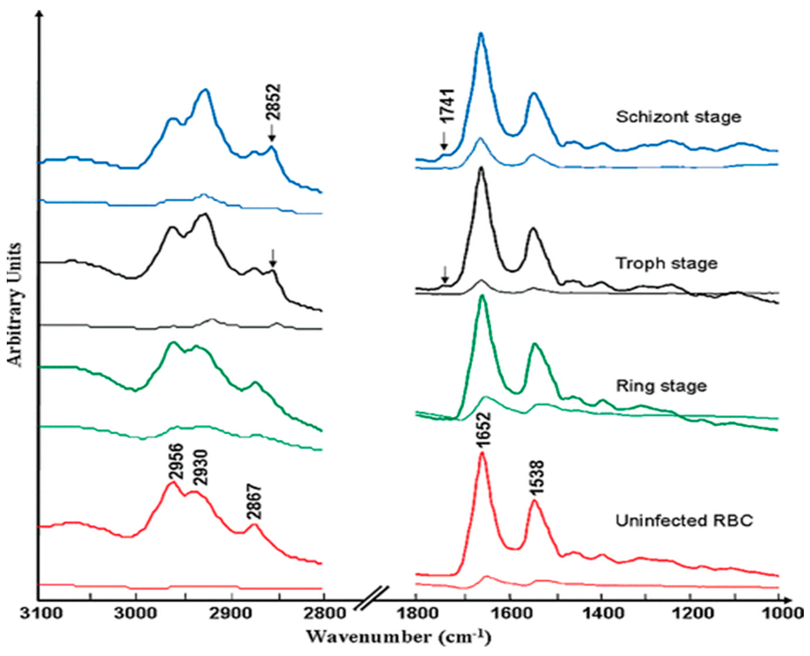 Spectroscj 02 00015 g007