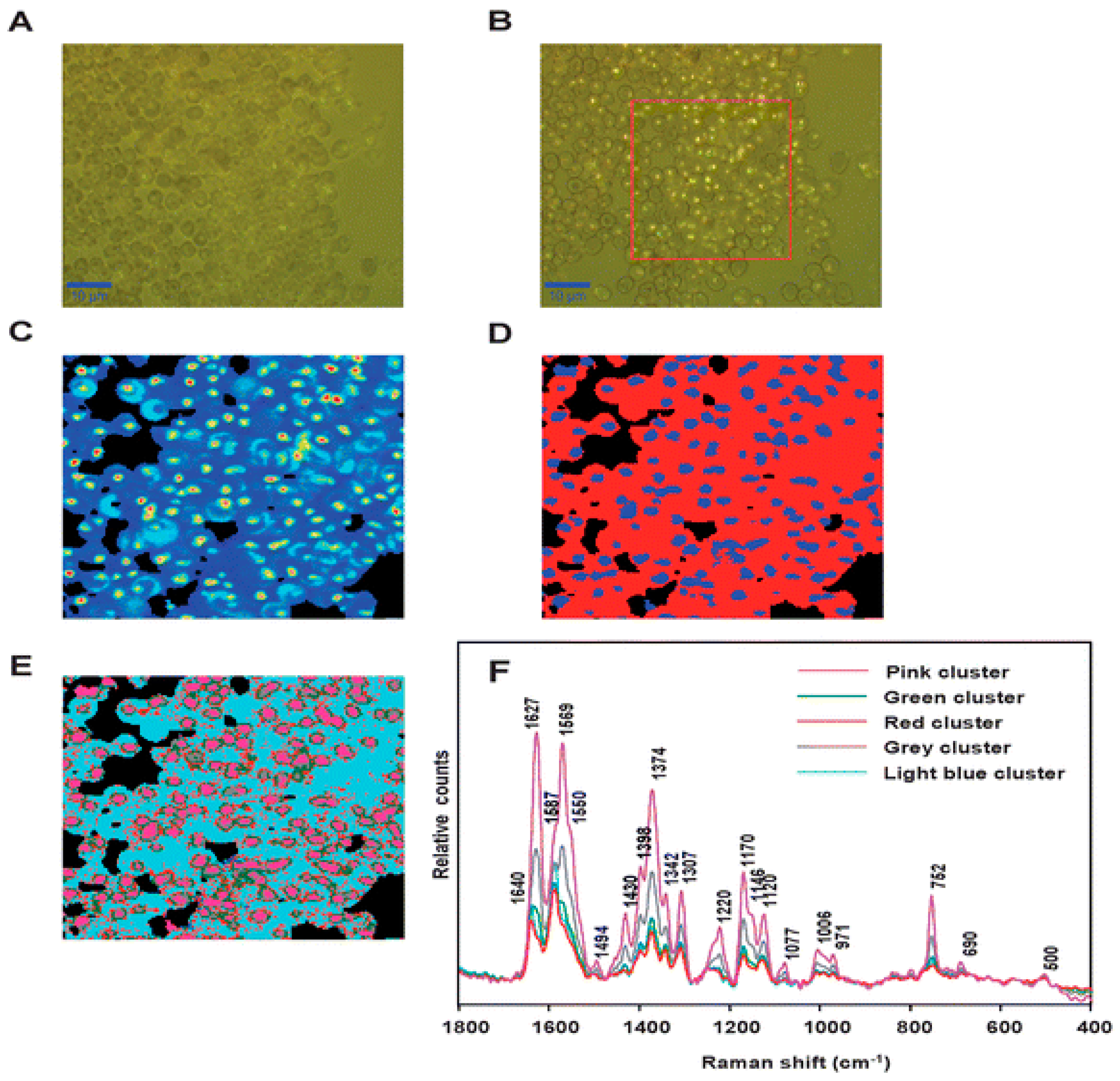 Spectroscj 02 00015 g008