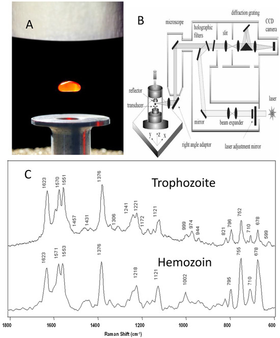 Illuminating Malaria: Spectroscopy's Vital Role in Diagnosis
