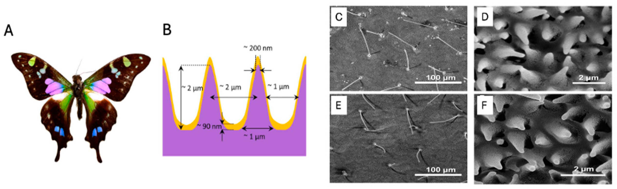 Spectroscj 02 00015 g010a