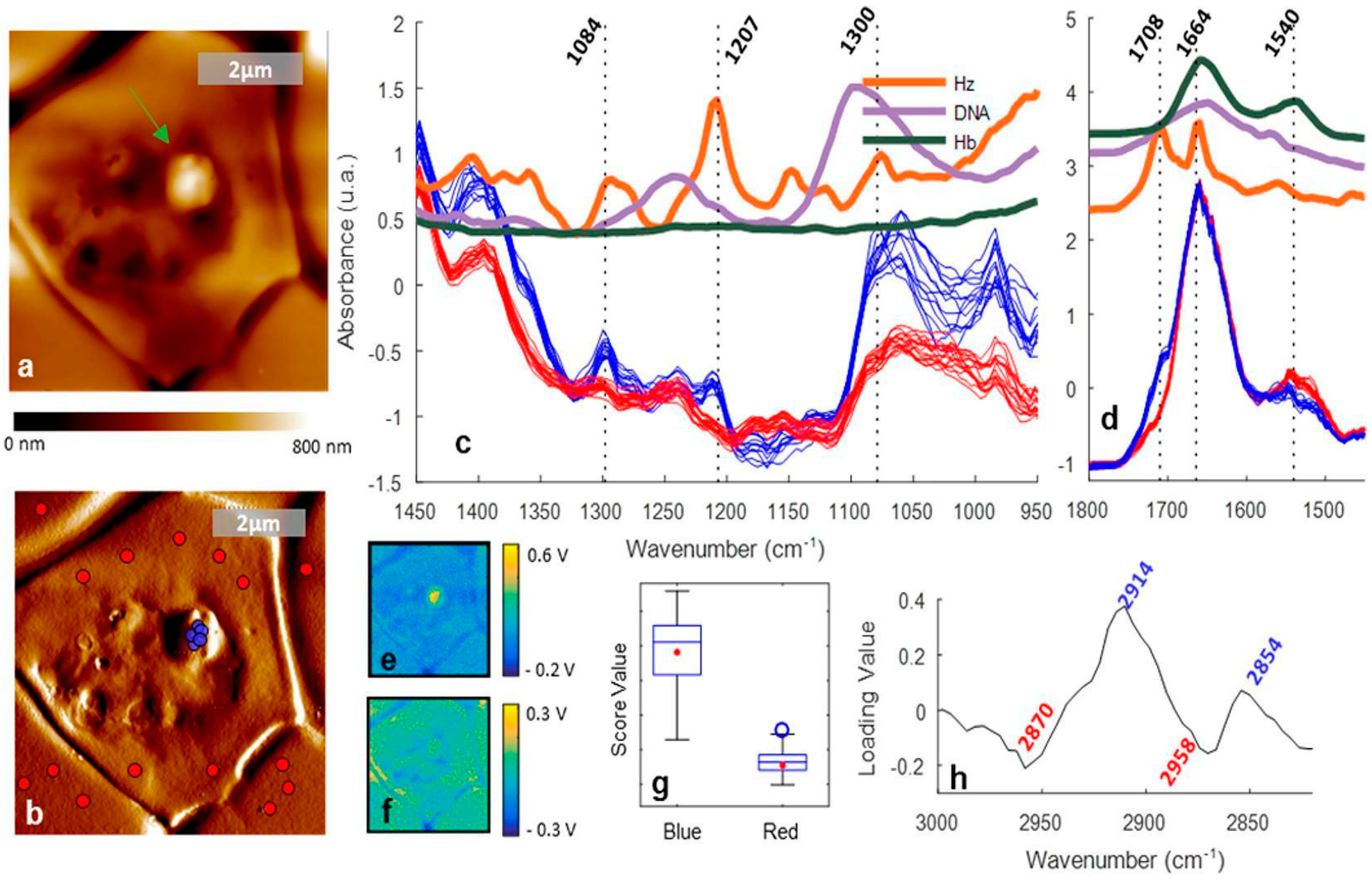 Spectroscj 02 00015 g019