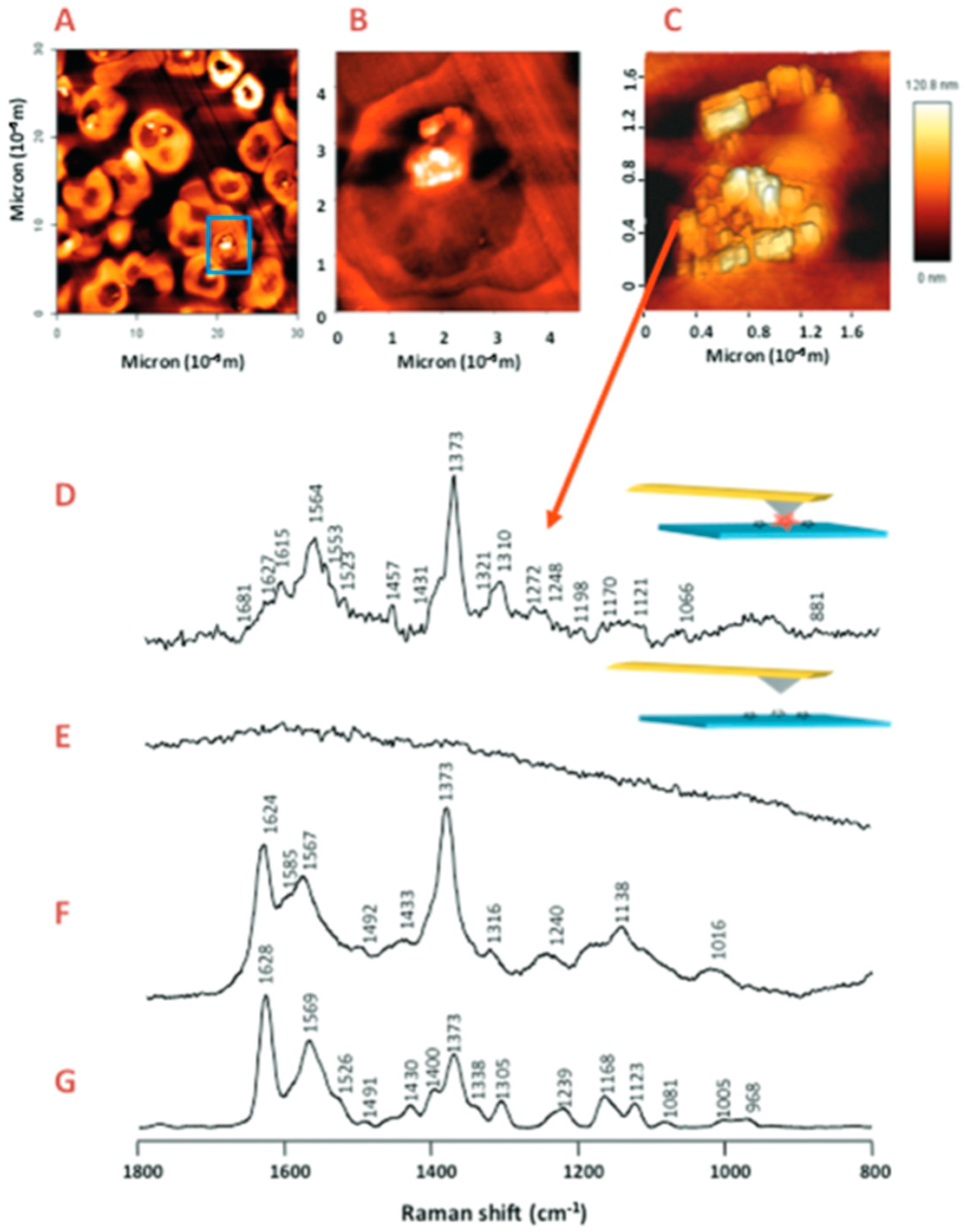 Spectroscj 02 00015 g020