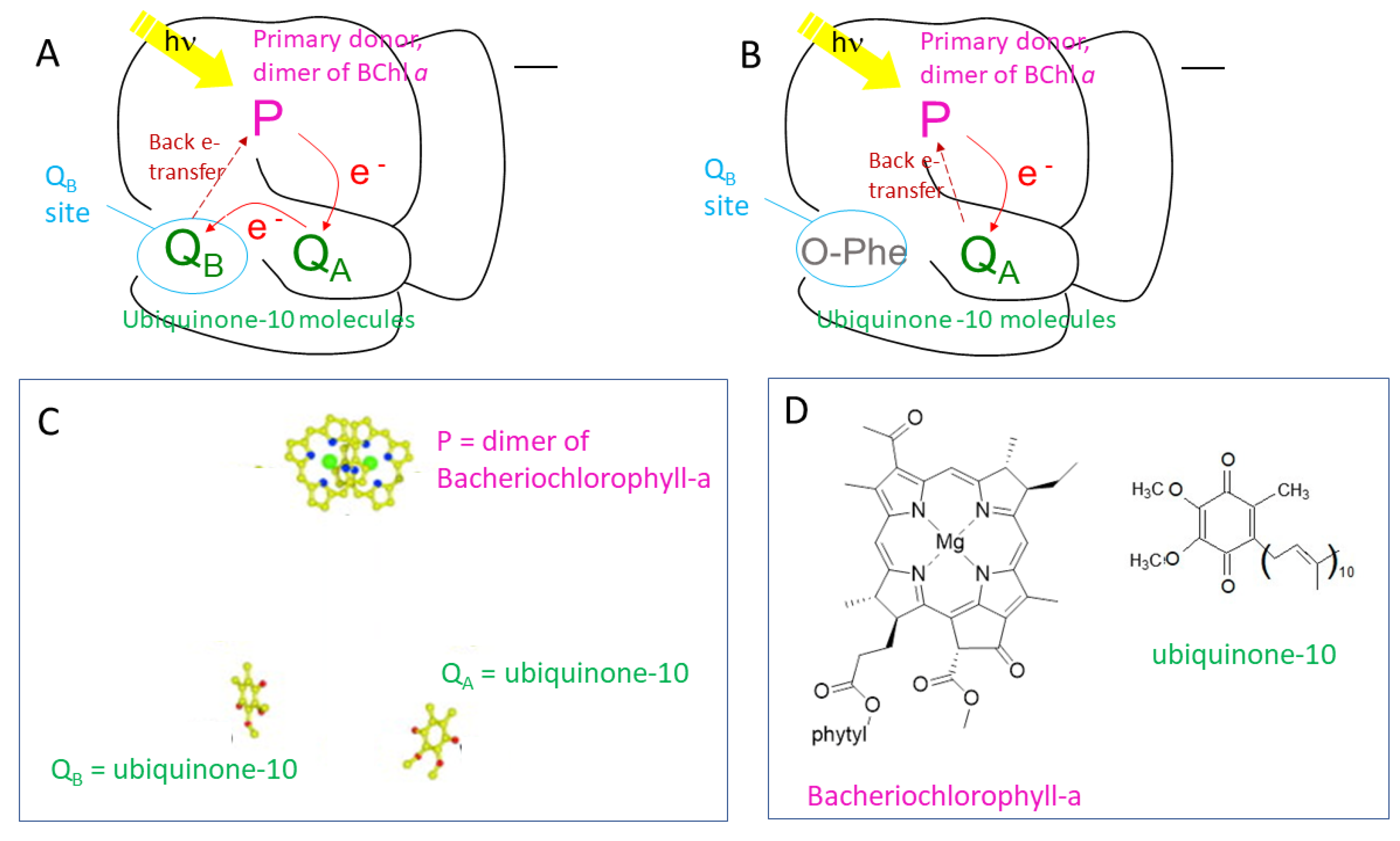 Spectroscj 03 00005 g001