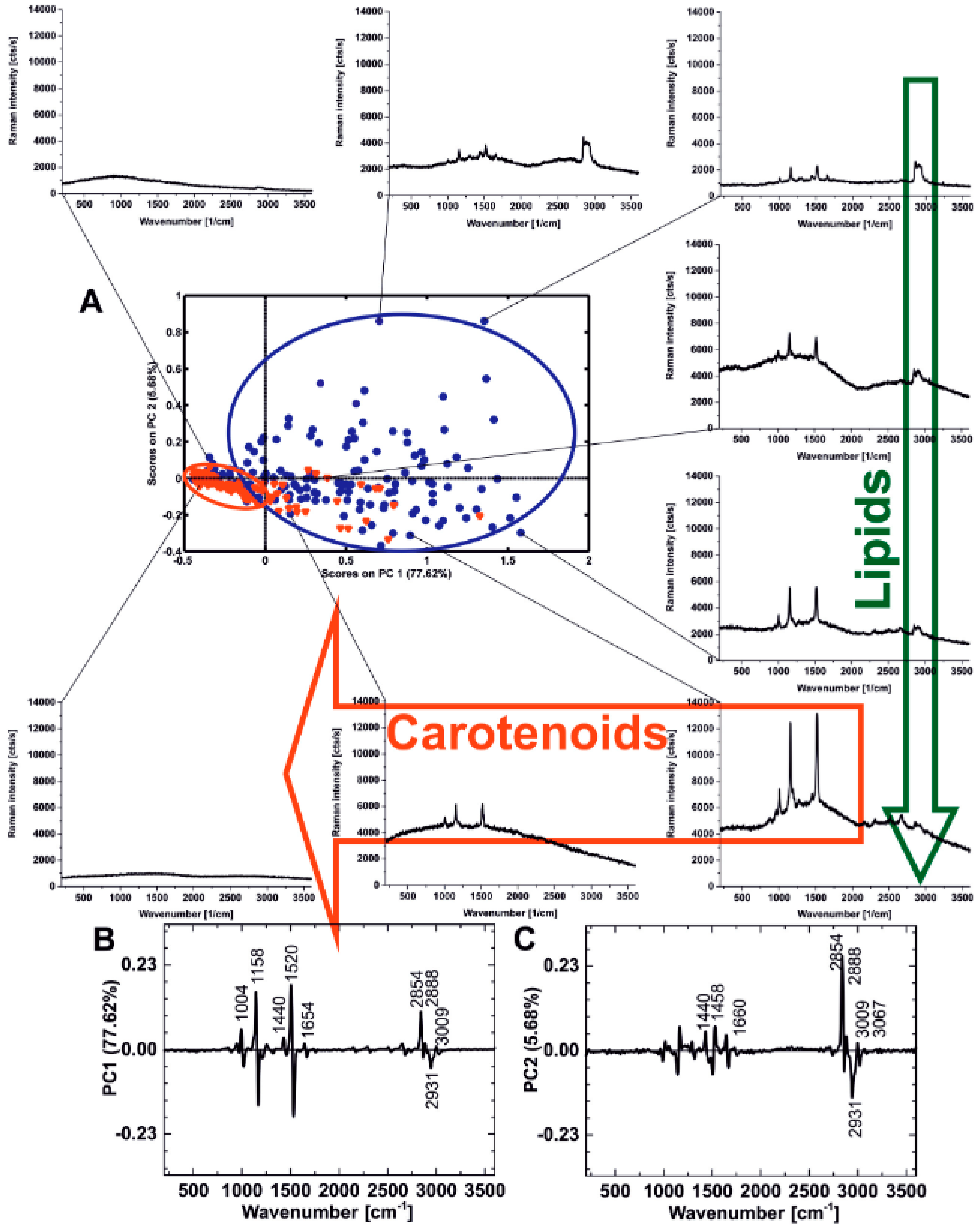 Spectroscj 03 00009 g001 Spectroscj 03 00009 g001