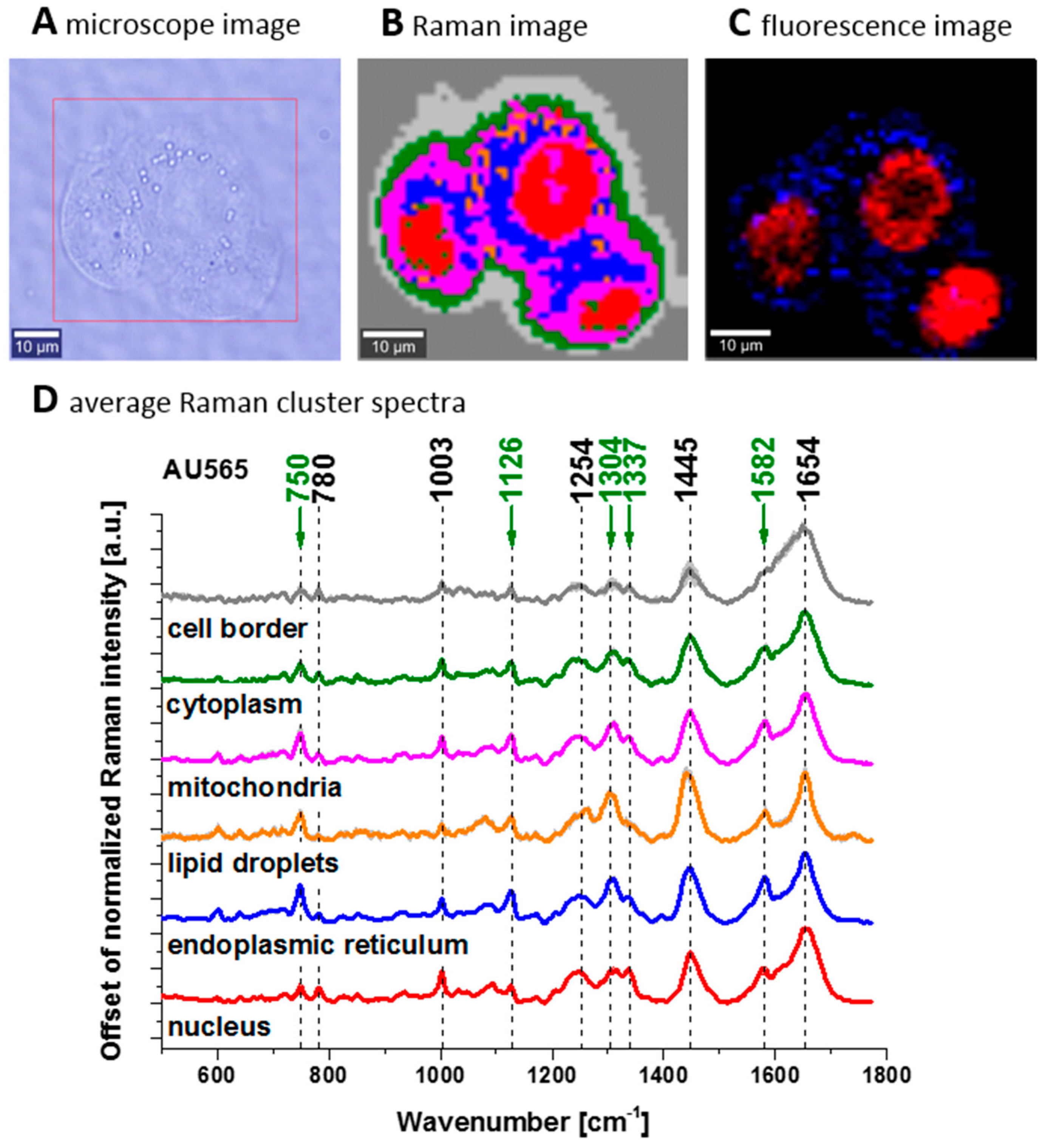Spectroscj 03 00009 g011 Spectroscj 03 00009 g011