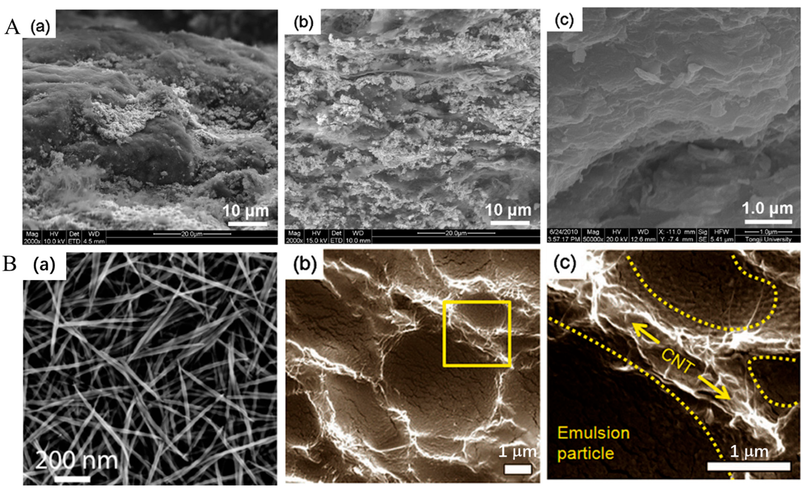 Spectroscj 03 00024 g009 Spectroscj 03 00024 g009