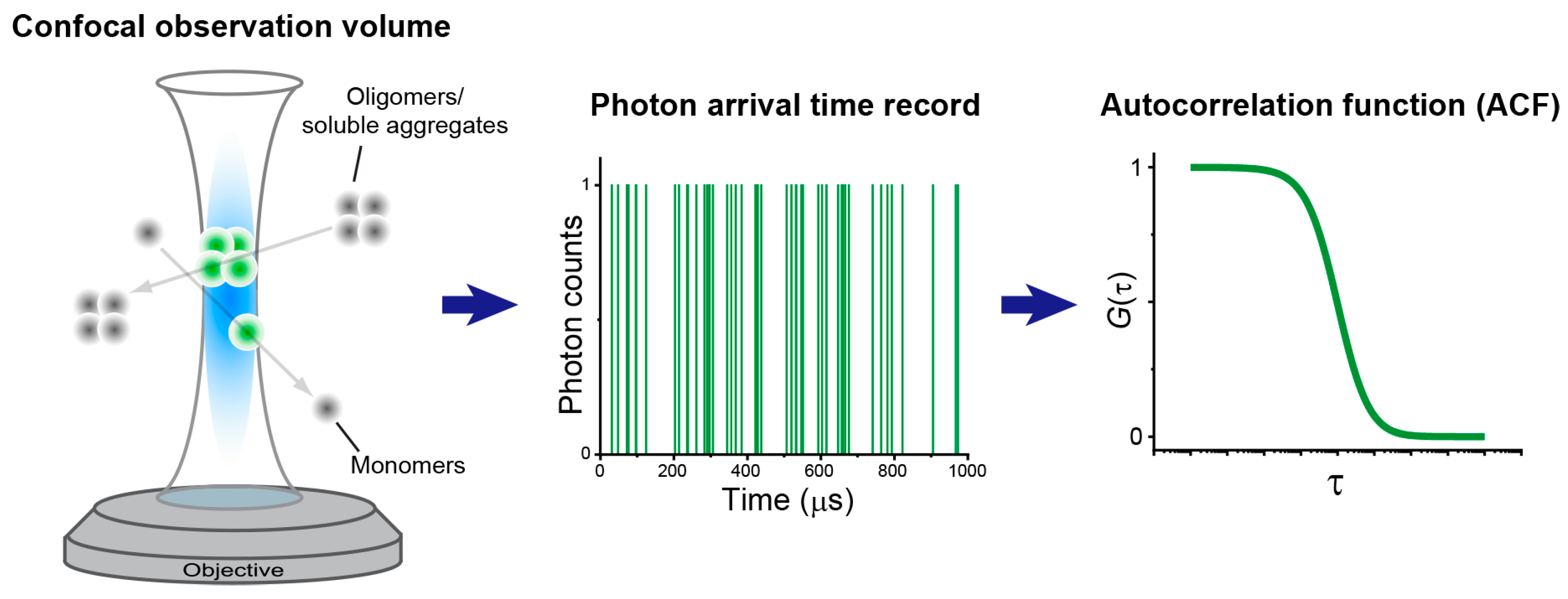 Spectroscj 03 00031 g001 Spectroscj 03 00031 g001