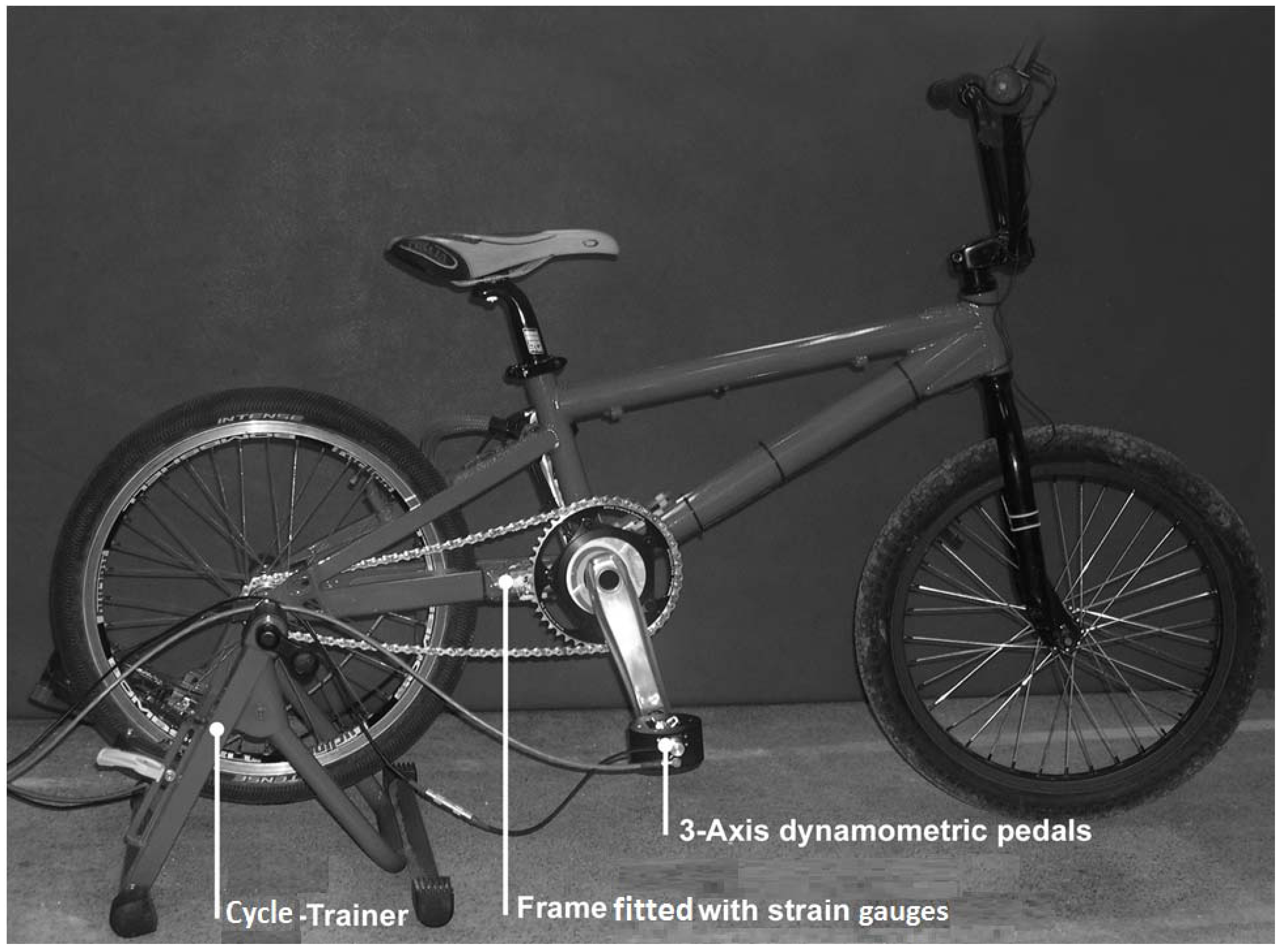 Sports 03 00087 g004 1024