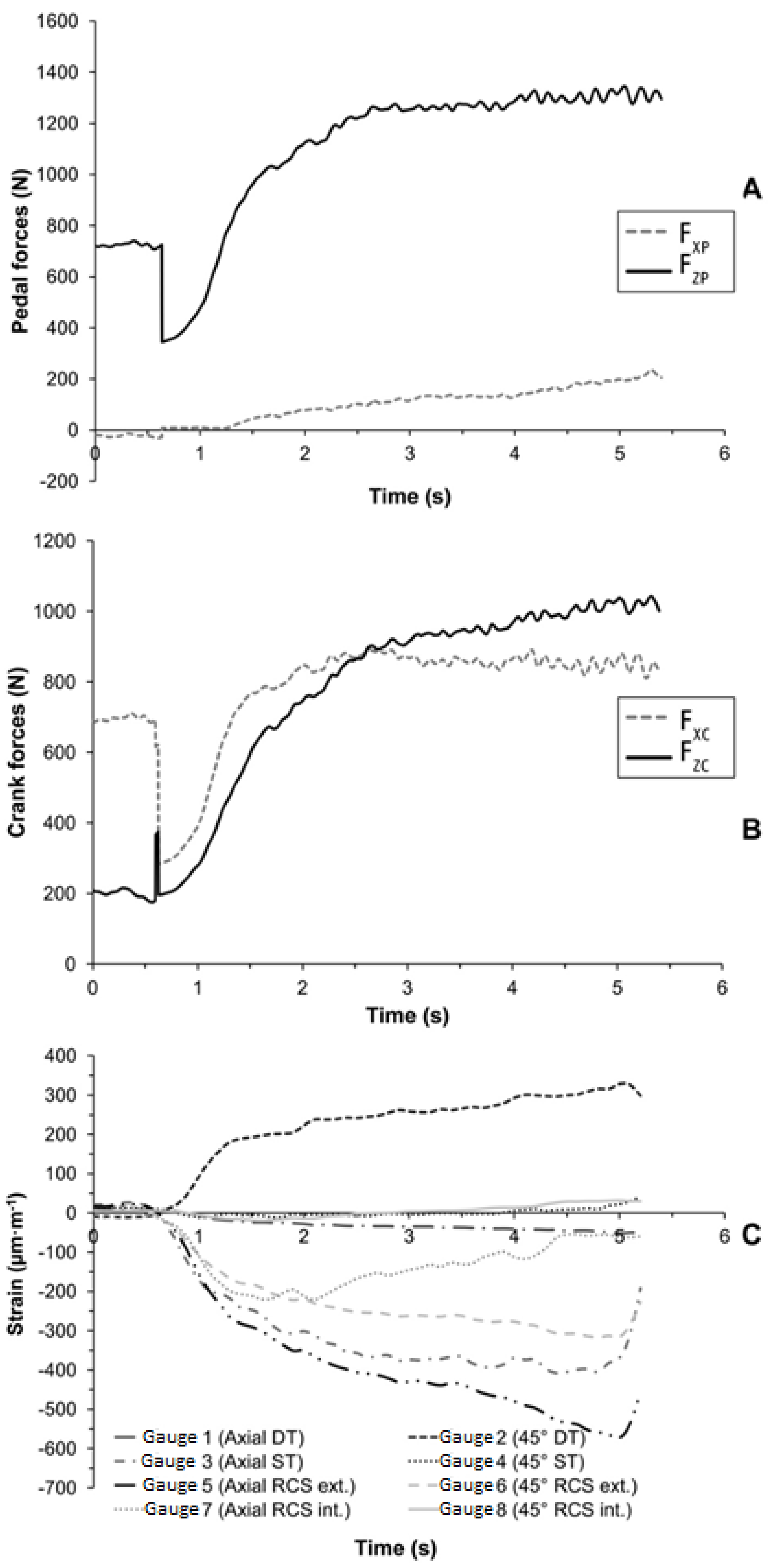 Sports 03 00087 g006 1024