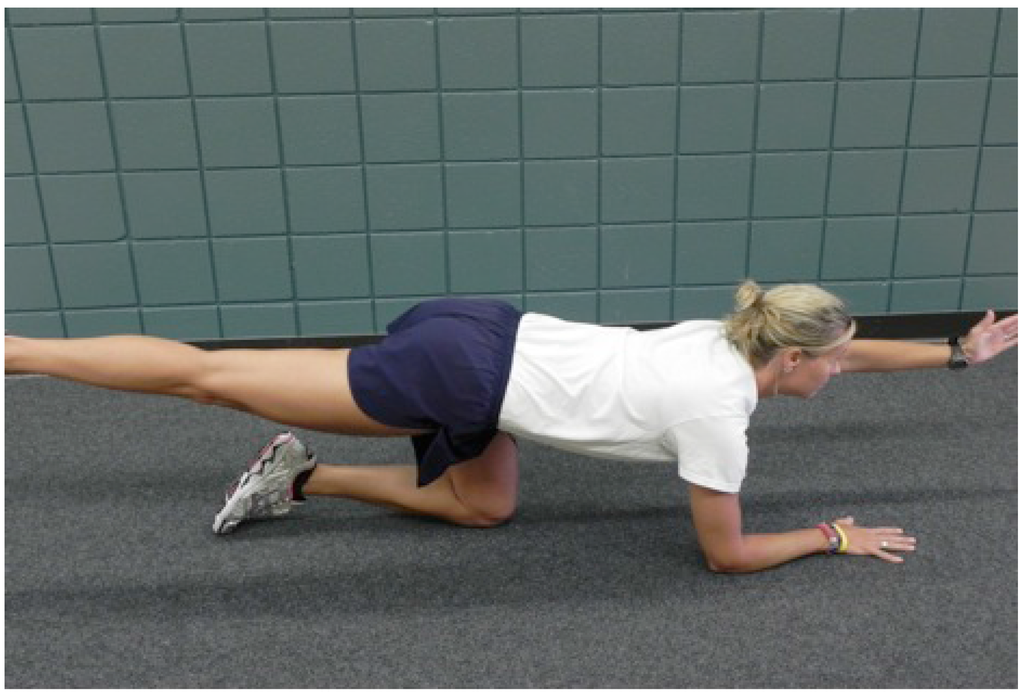 Sports Free FullText Upper Extremity Muscle Activation during