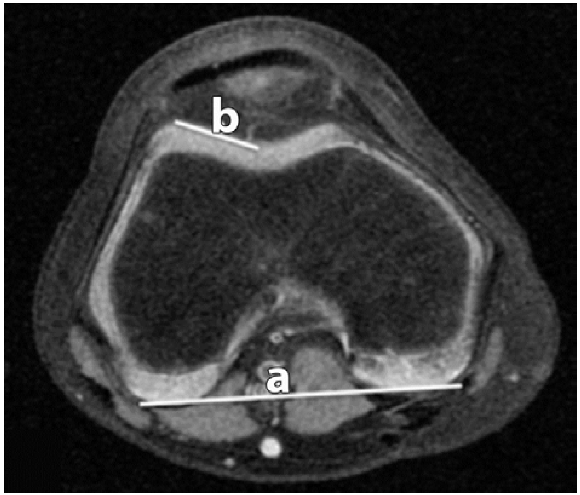 Sports 04 00024 g001 1024