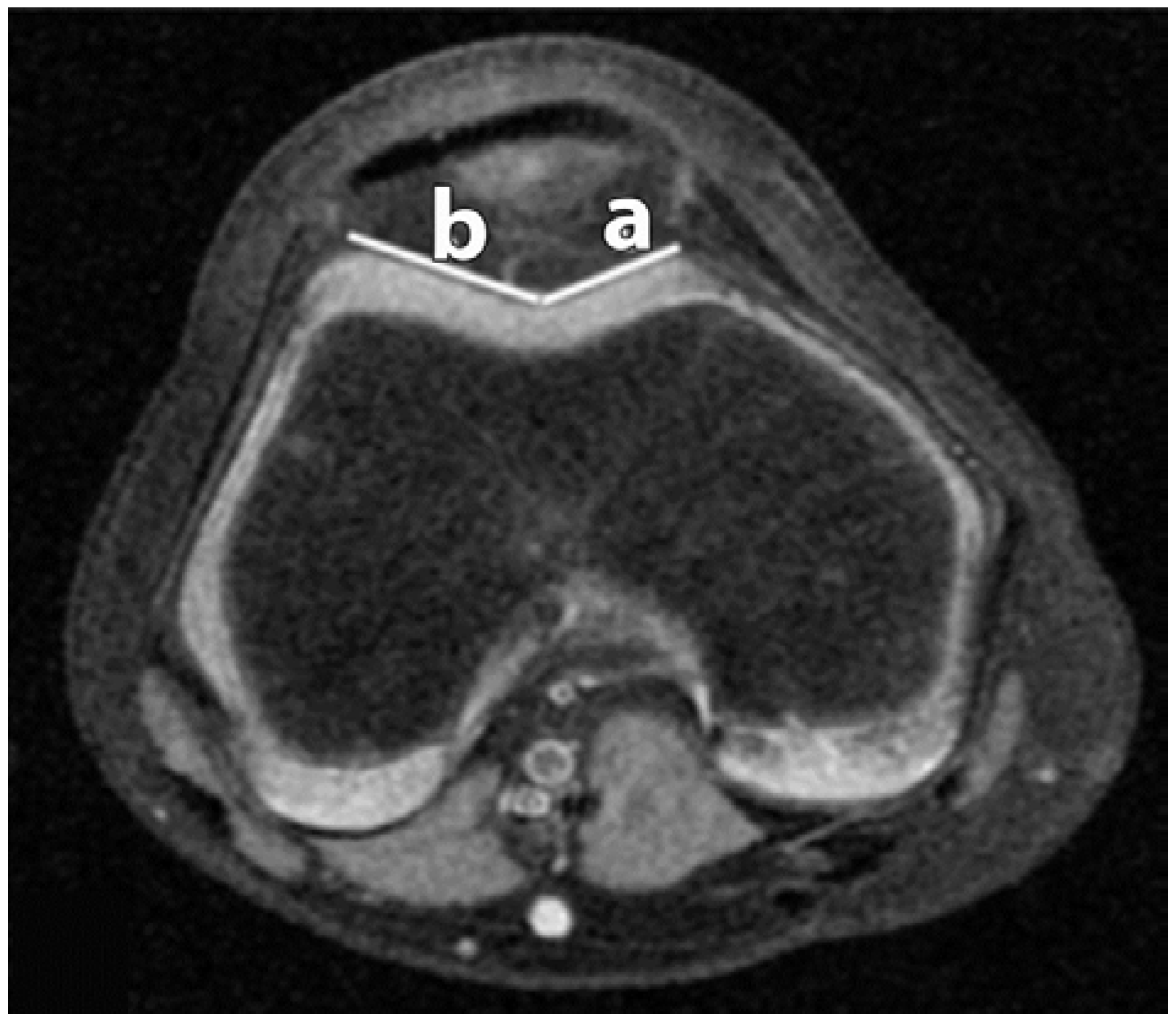 Sports 04 00024 g002 1024