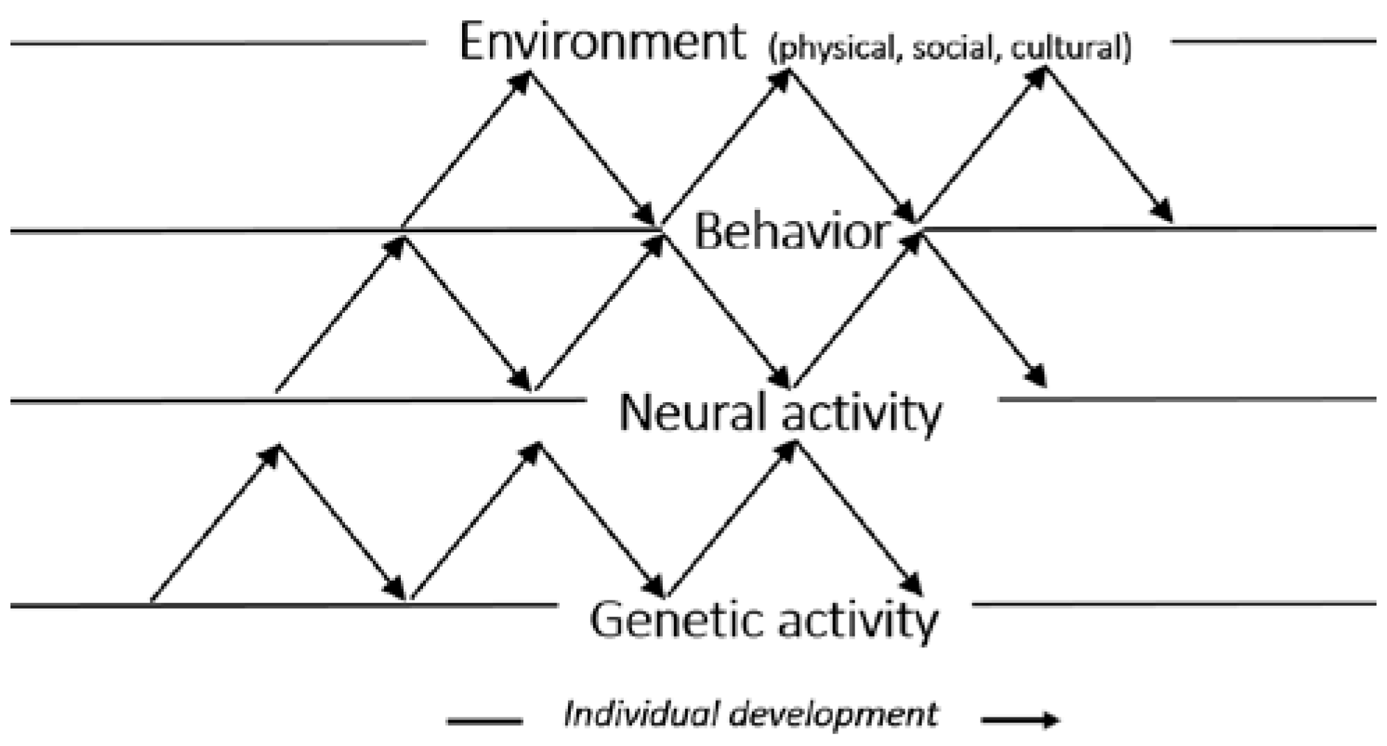 Genesis and Evolution of Physical Education