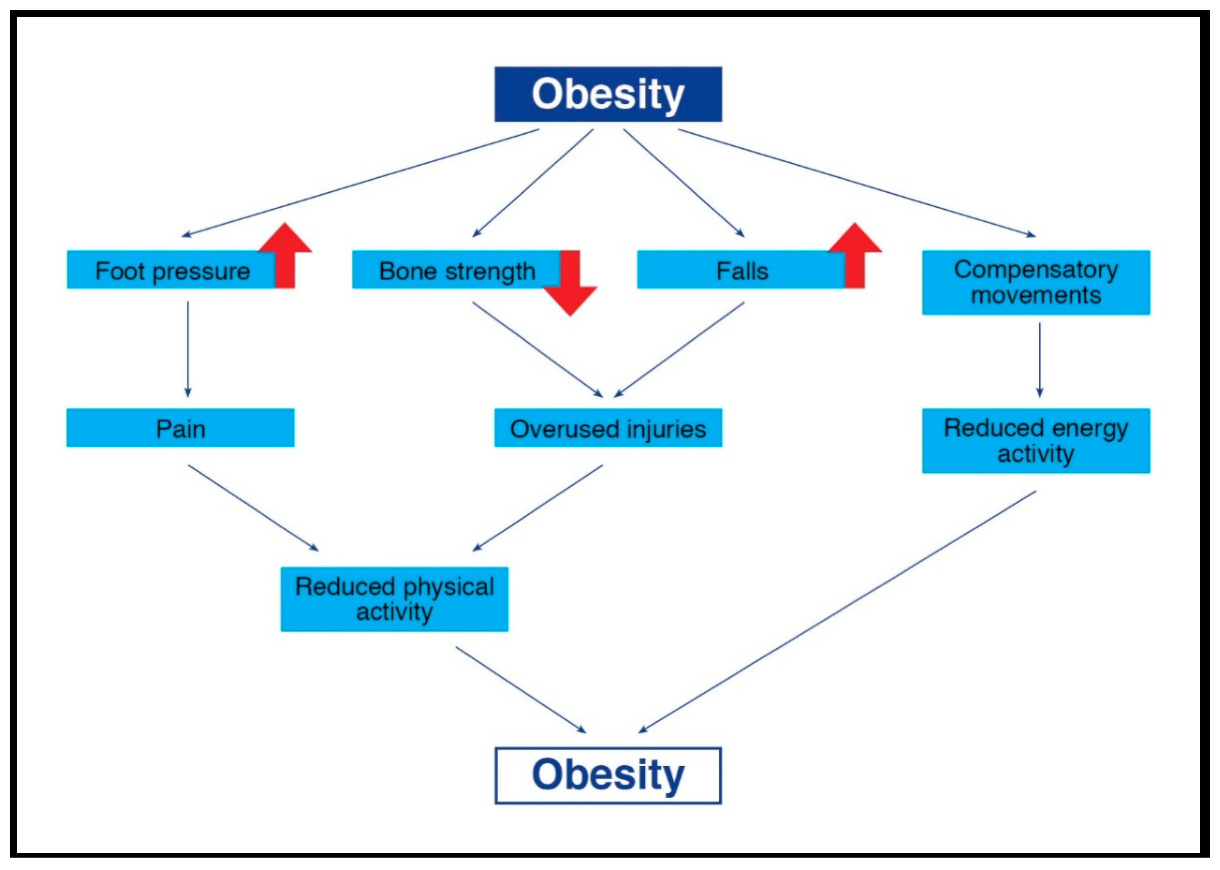 Sports 06 00075 g001