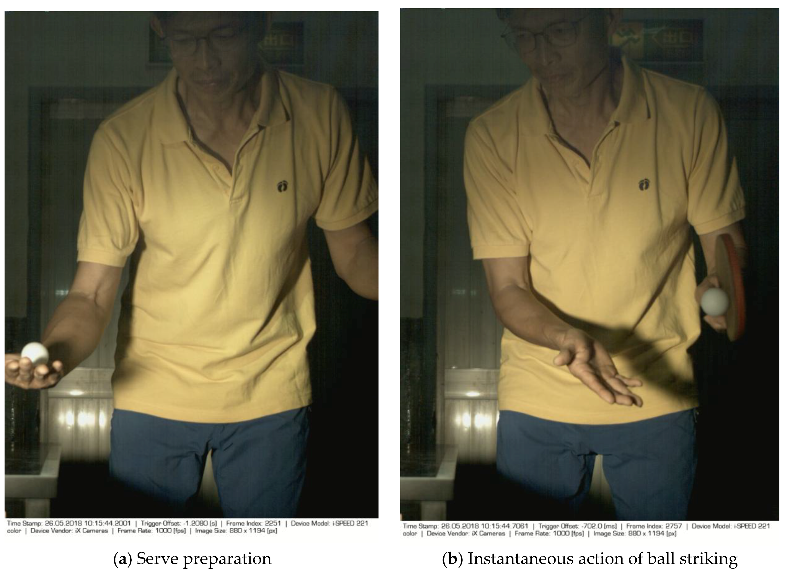 Sports 06 00158 g002 Sports 06 00158 g002