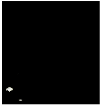 Sports 06 00158 i007 Sports 06 00158 i007