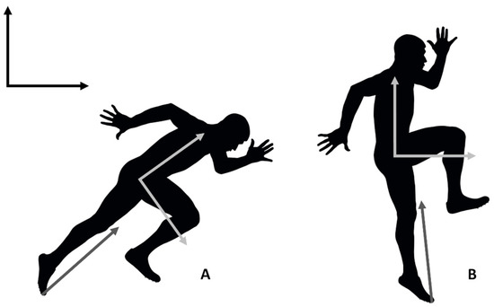 Sports Free Full Text The Magical Horizontal Force Muscle A Preliminary Study Examining The Force Vector Theory Html