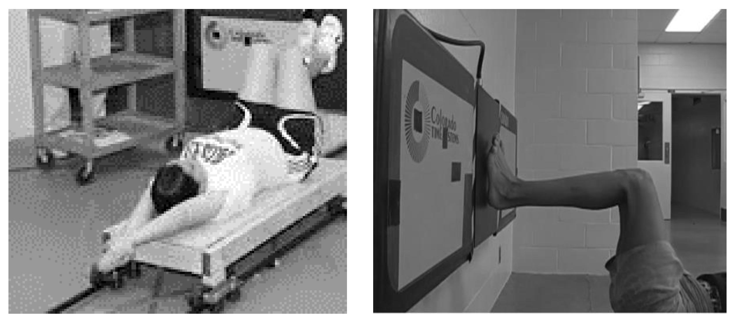 Sports 07 00032 g001