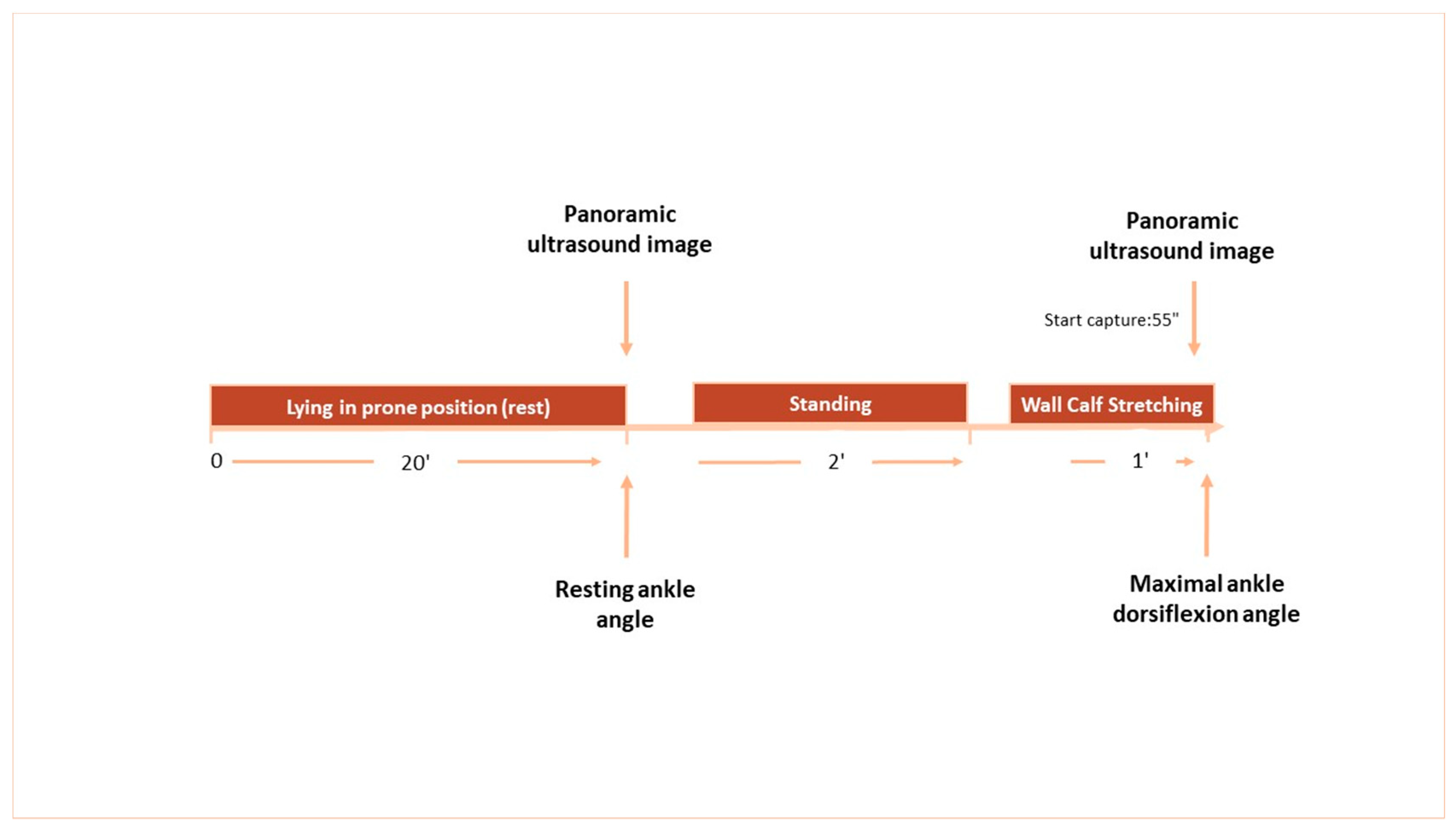 Sports 07 00039 g001