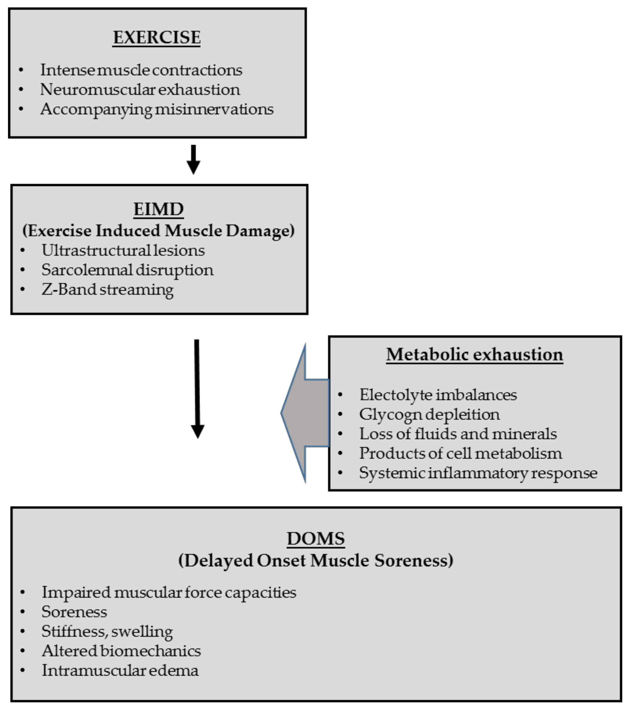 Sports 07 00143 g002