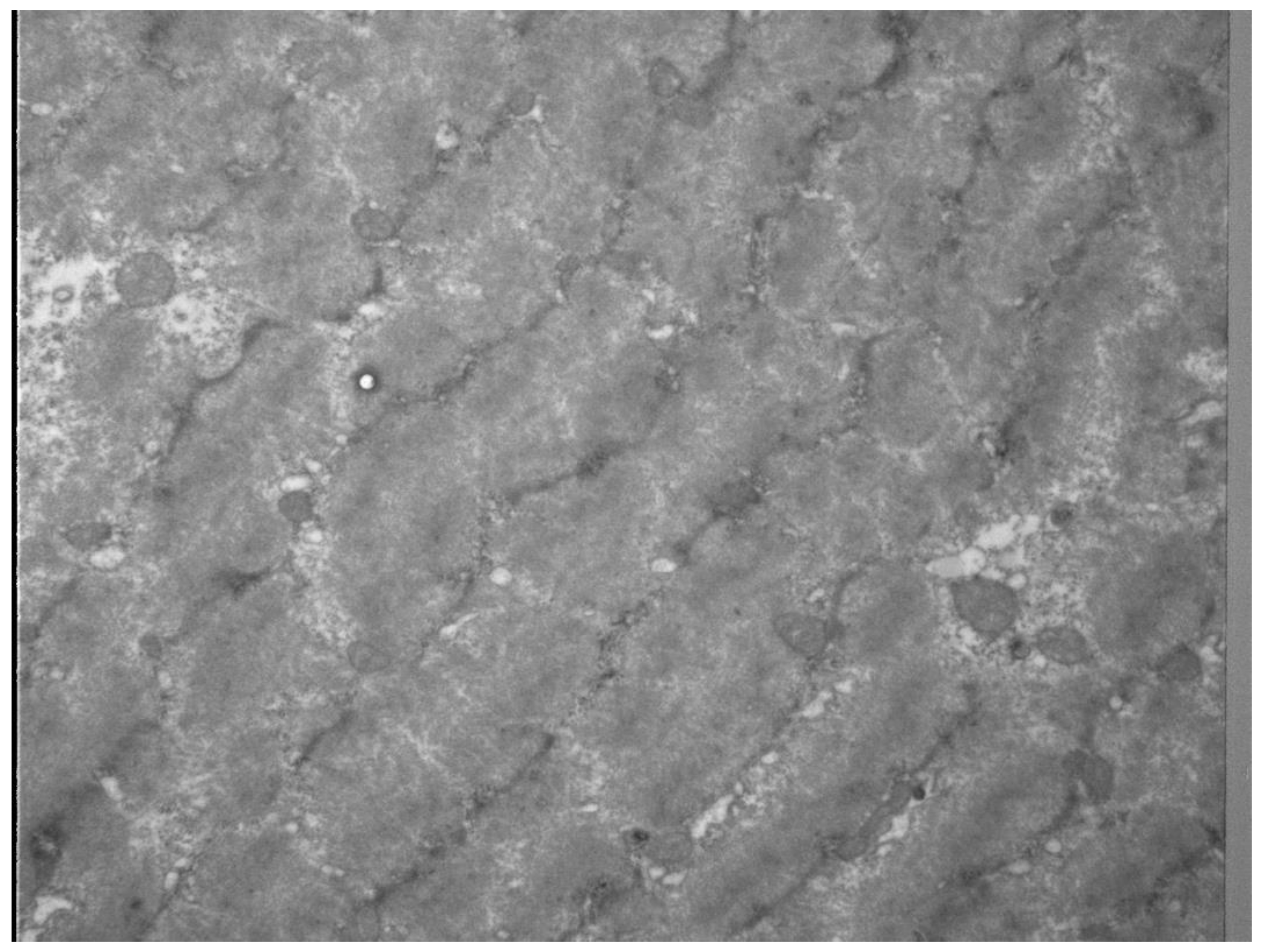 Sports 07 00143 g003