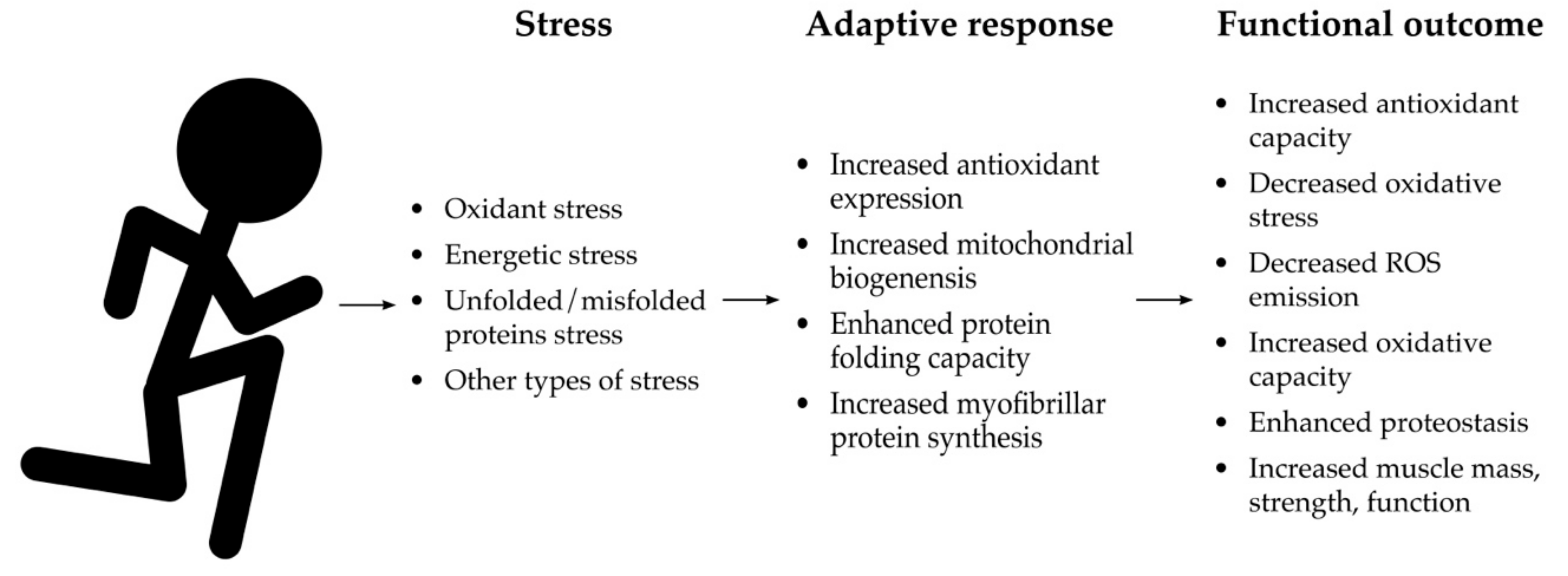 Sports 07 00170 g002