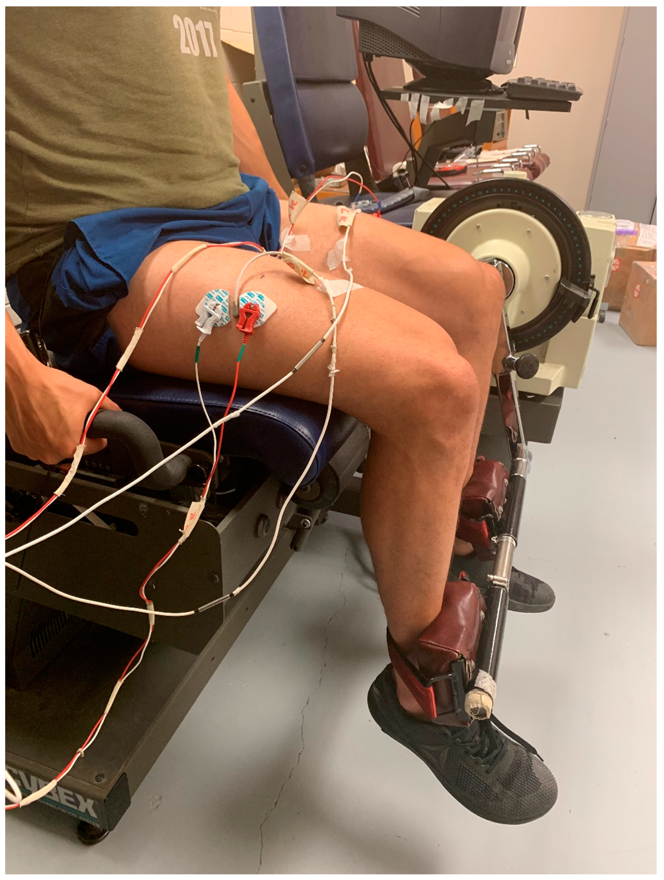 Sports 07 00175 g001 Sports 07 00175 g001