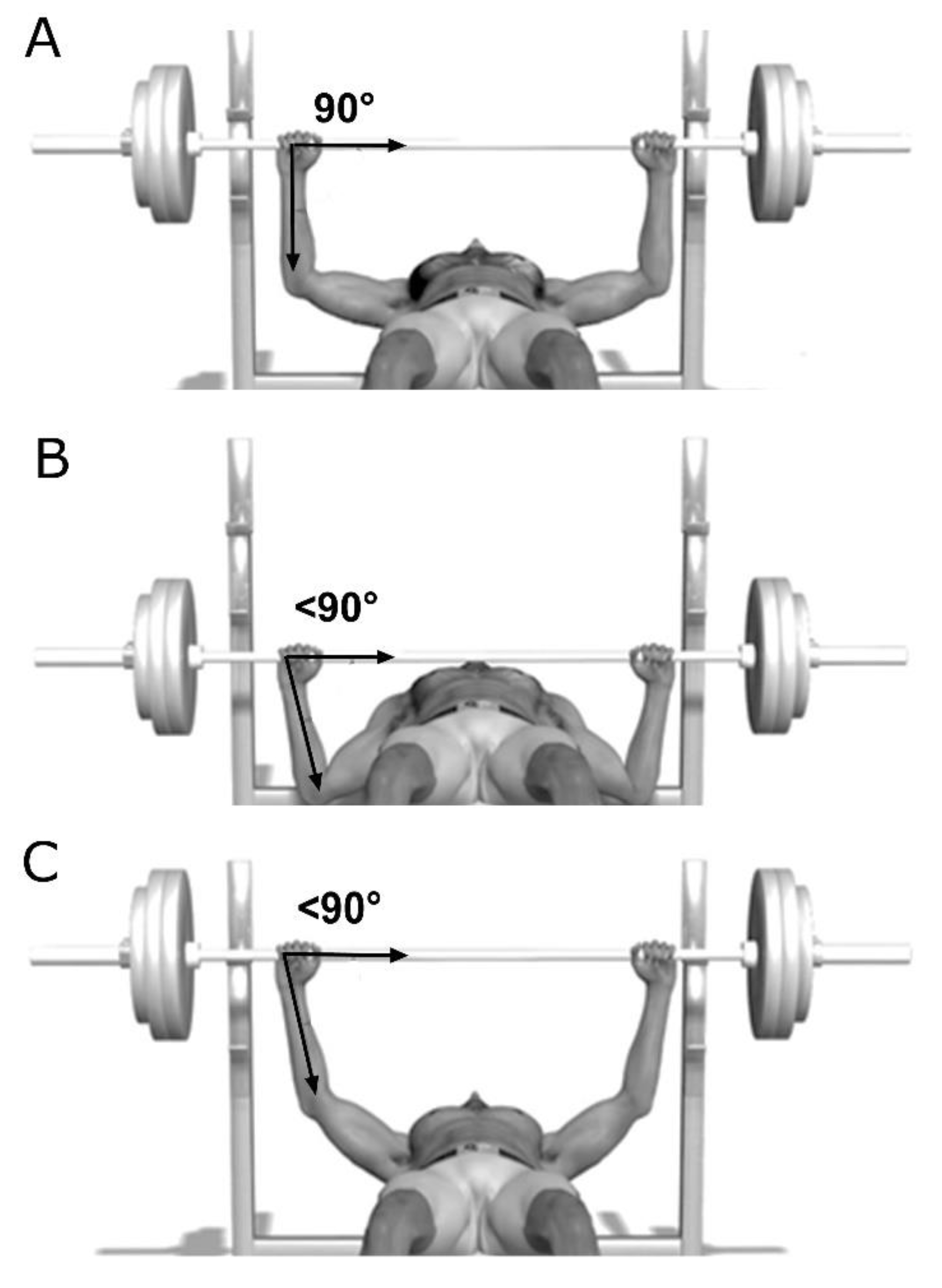 Average Bench Press By Age Bench