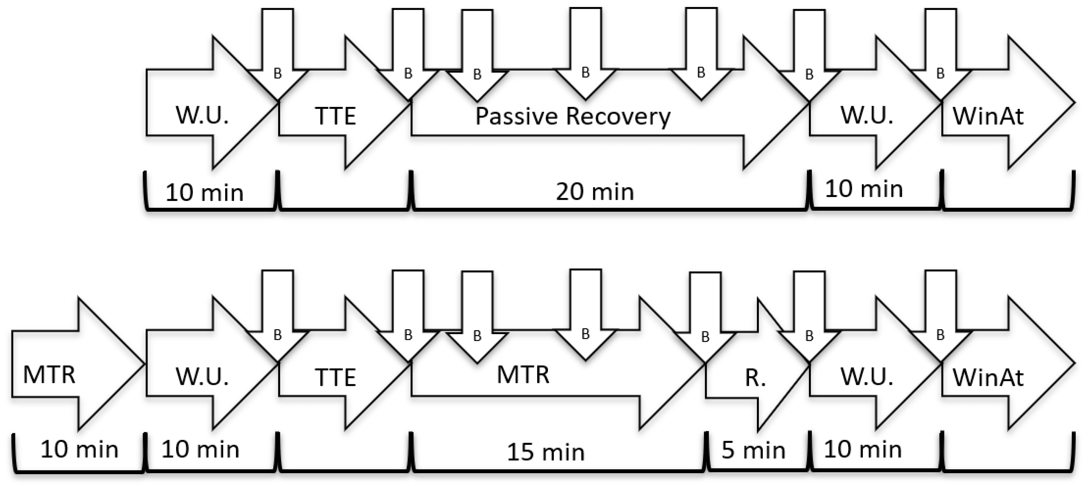 Sports 07 00246 g001 Sports 07 00246 g001
