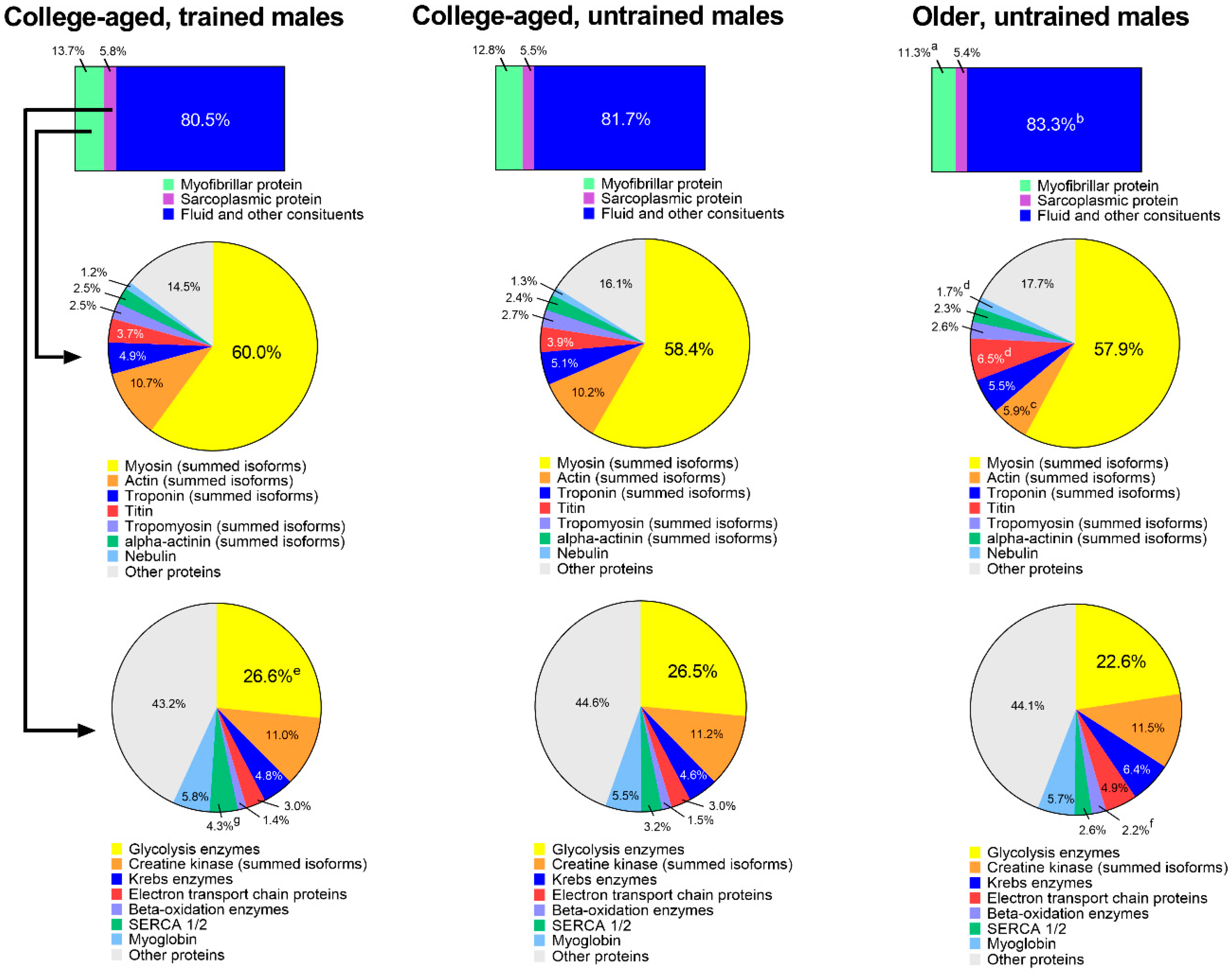 Sports 08 00007 g004