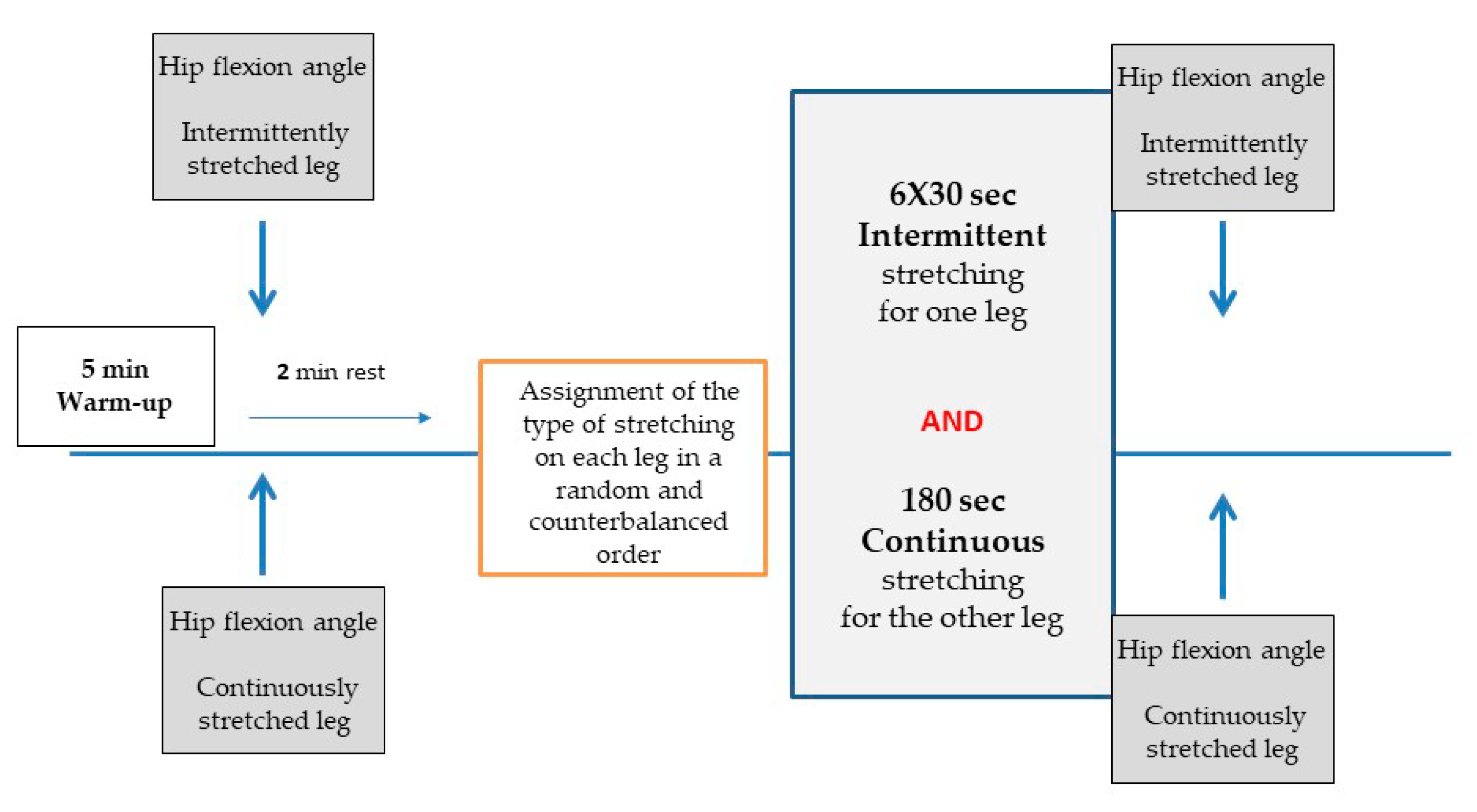Sports Free Full Text Acute Effects Of Intermittent And Continuous Static Stretching On Hip Flexion Angle In Athletes With Varying Flexibility Training Background Html Sports Free Full Text Acute Effects Of Intermittent And Continuous Static Stretching On Hip Flexion Angle In Athletes With Varying Flexibility Training Background Html