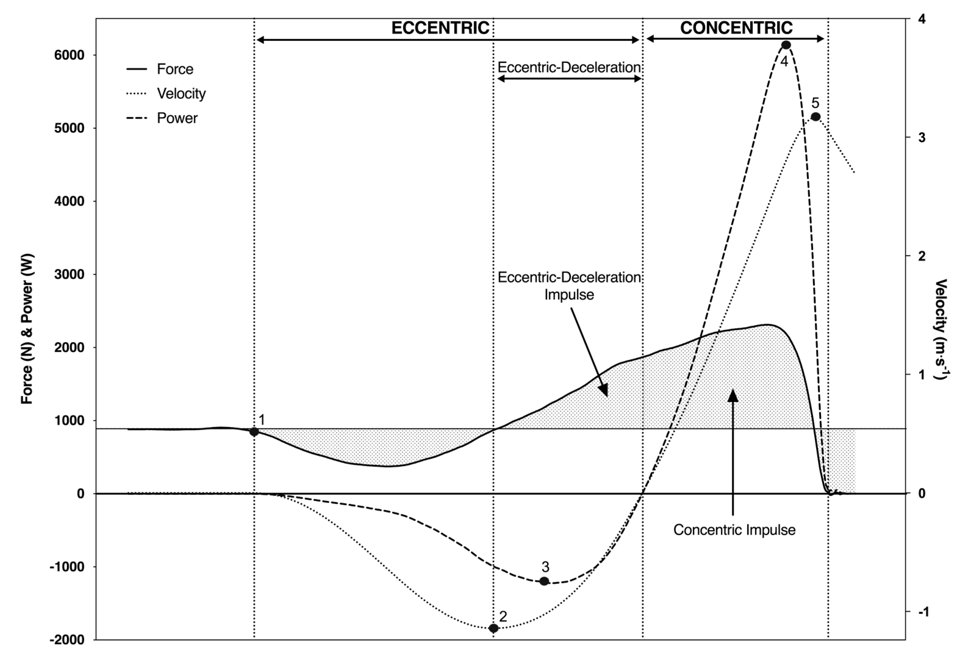 Sports 08 00076 g002